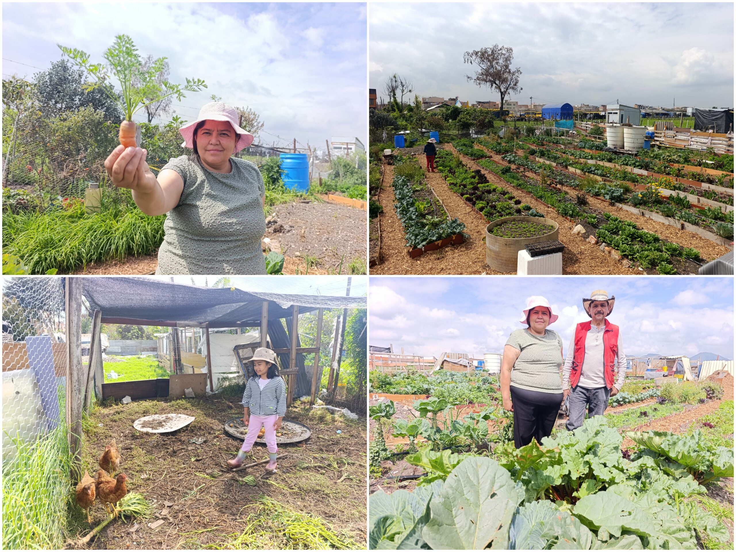 Historias del verde urbano: La nueva lideresa y empresaria huertera de Suba