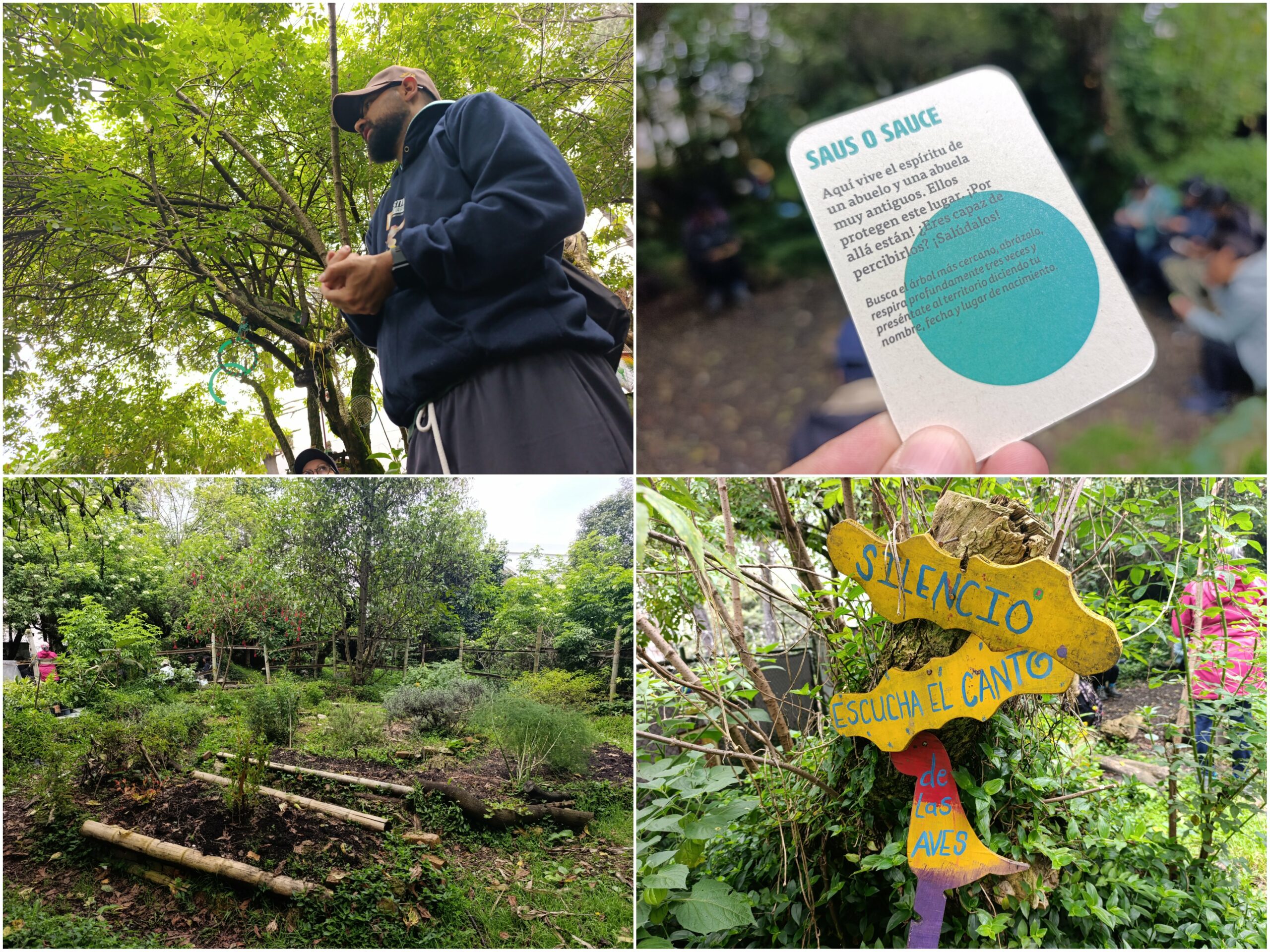 Historias del verde urbano: Una ‘caminata consciente’ por el bosque que la comunidad salvó de ser atropellado por una vía