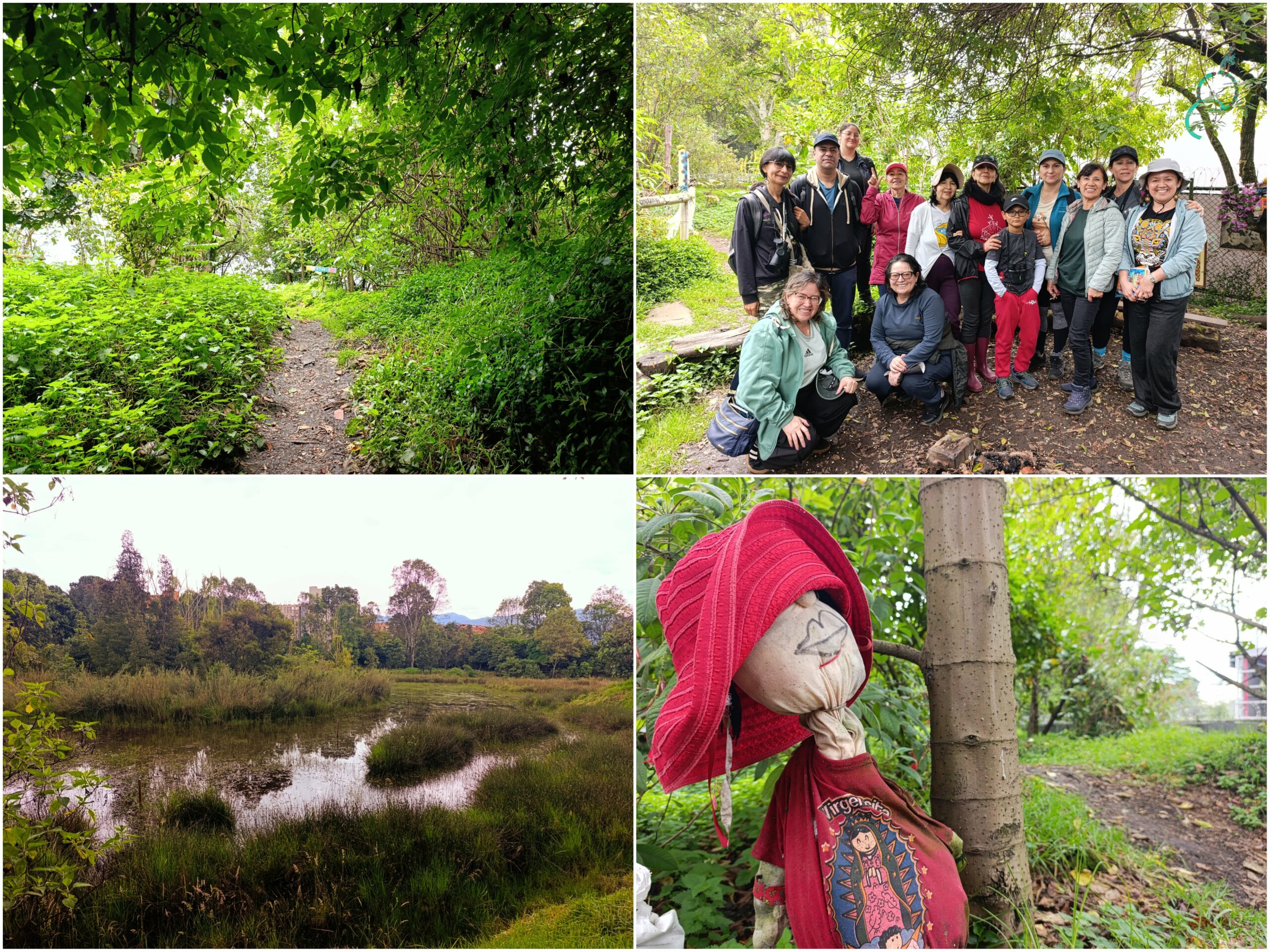 Historias del verde urbano: Una ‘caminata consciente’ por el bosque que la comunidad salvó de ser atropellado por una vía