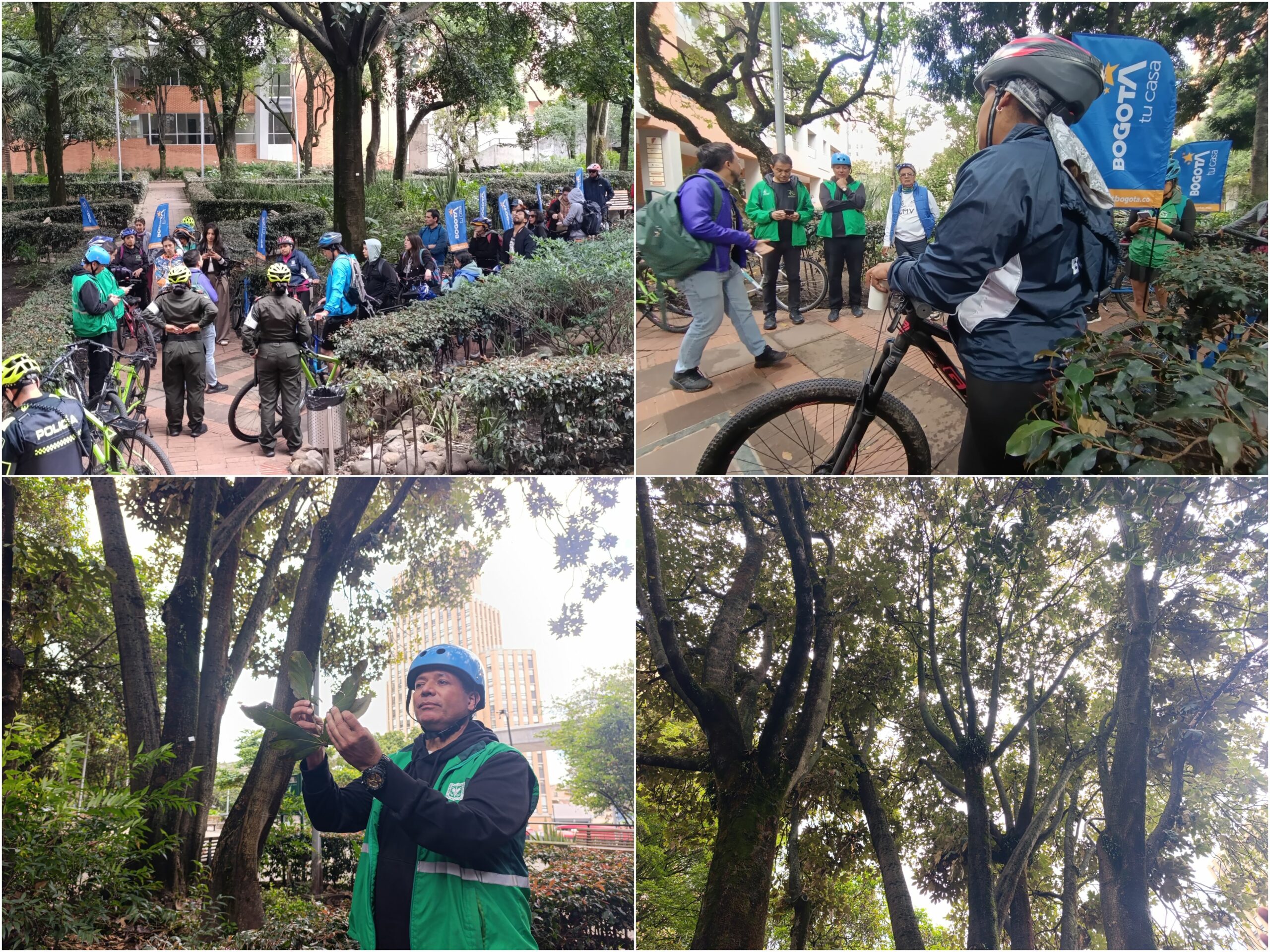 Historias del verde urbano: Ciclopaseo por el patrimonio verde del centro histórico Historias del verde urbano: Ciclopaseo por el patrimonio verde del centro histórico