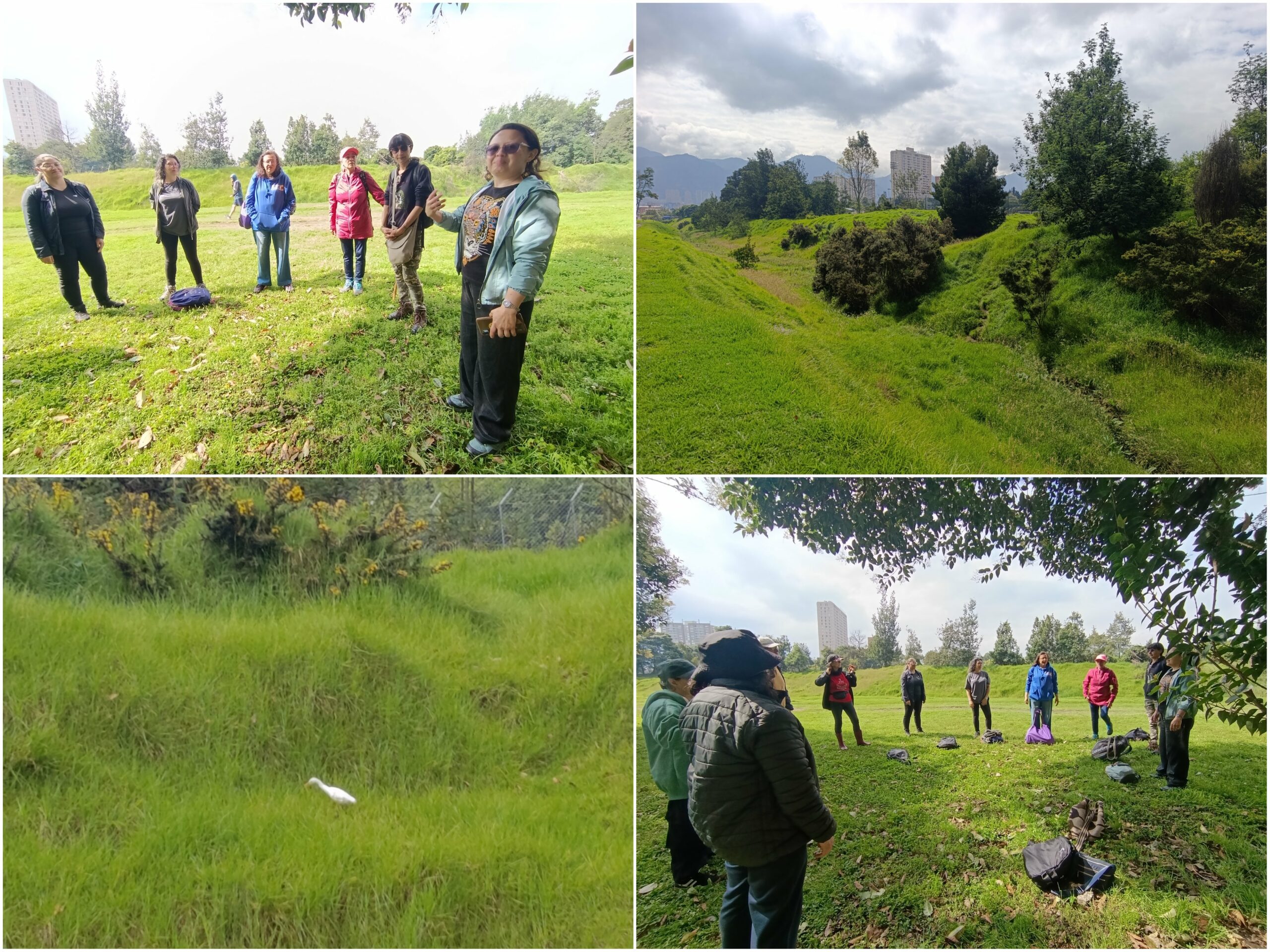 Historias del verde urbano: Una ‘caminata consciente’ por el bosque que la comunidad salvó de ser atropellado por una vía