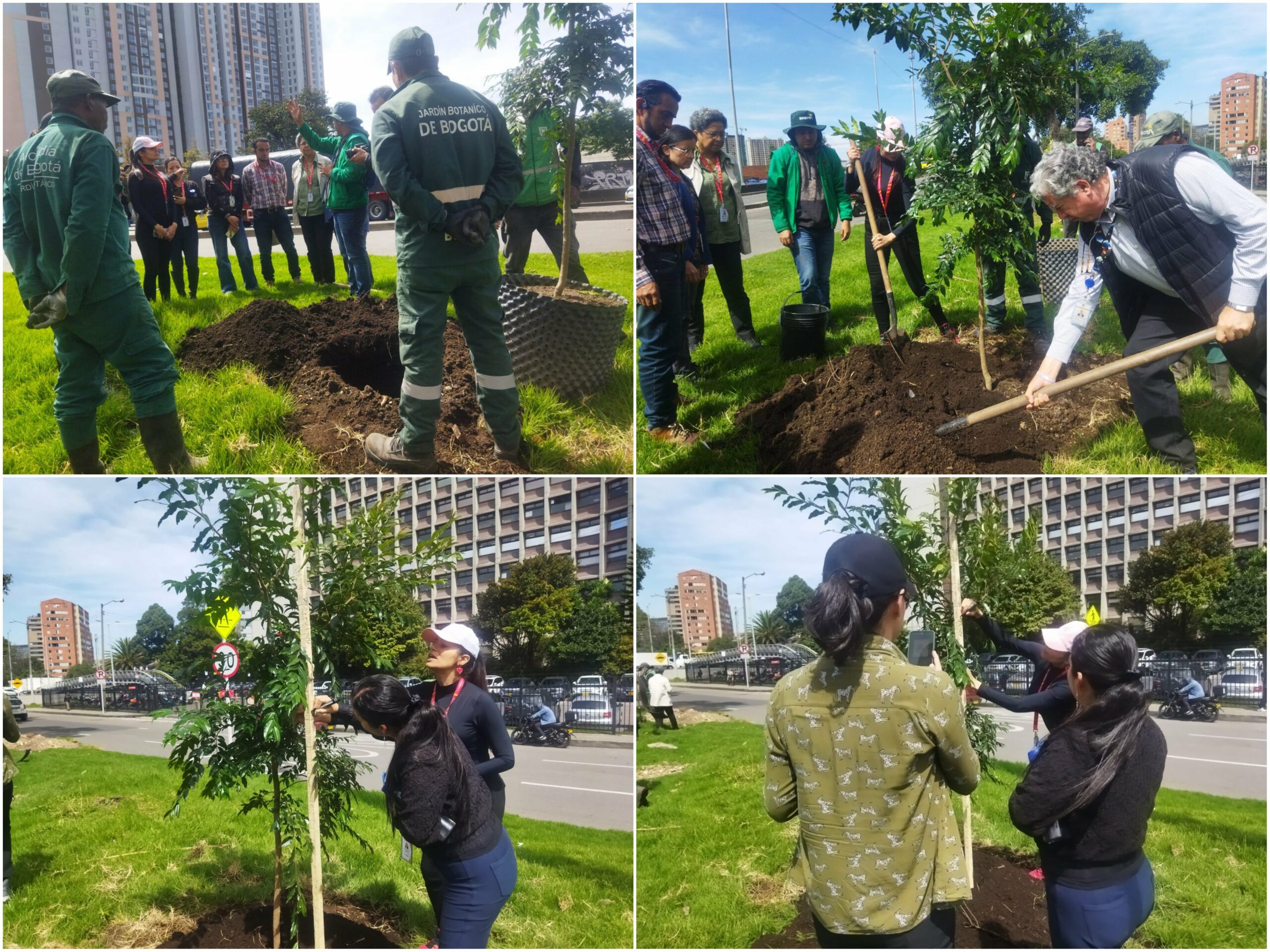 Historias del verde urbano: ¡La renaturalización de los alrededores del CAD!