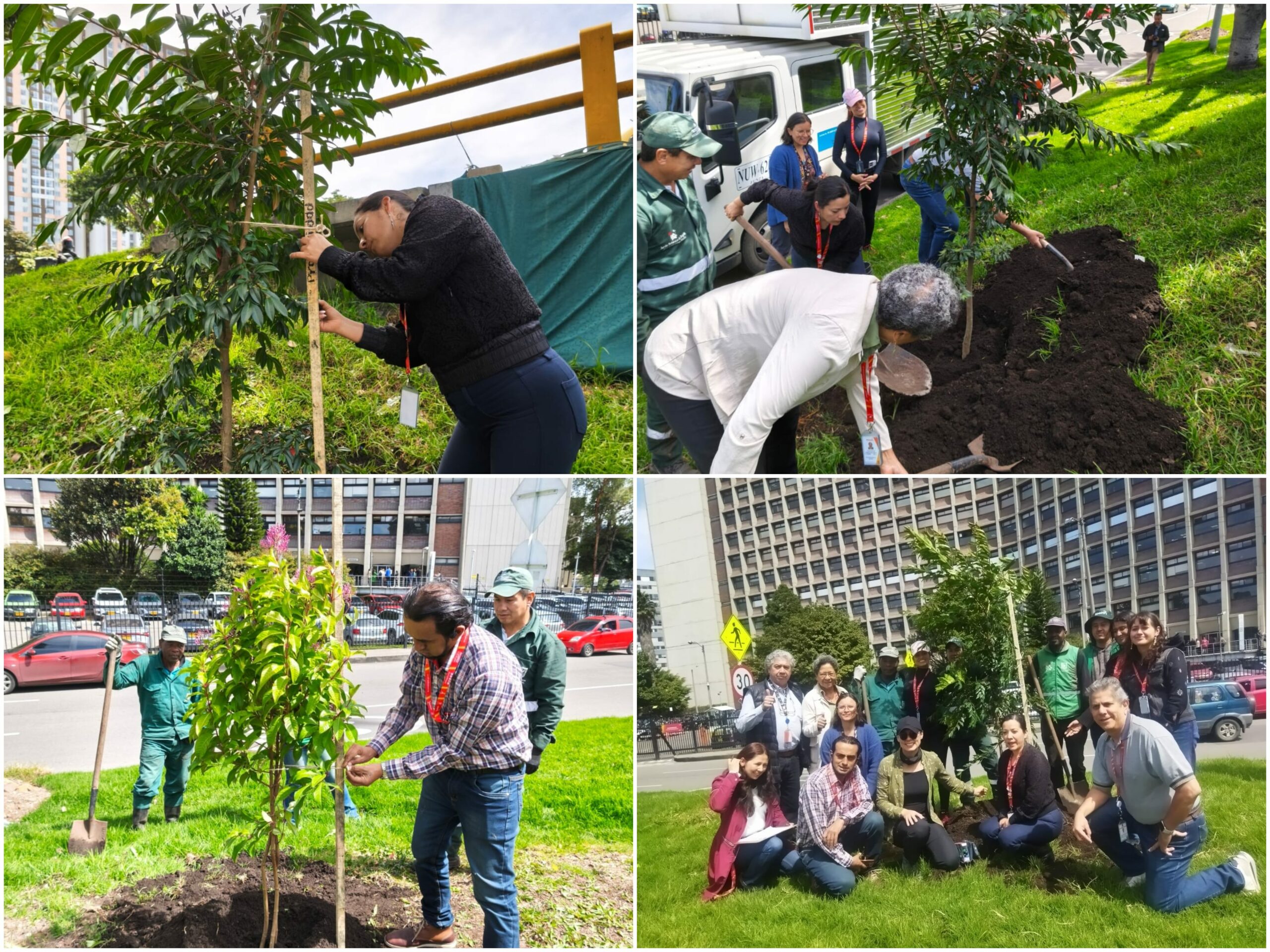 Historias del verde urbano: El Jardín Botánico de Bogotá plantó el primer centenar de árboles y arbustos de este año