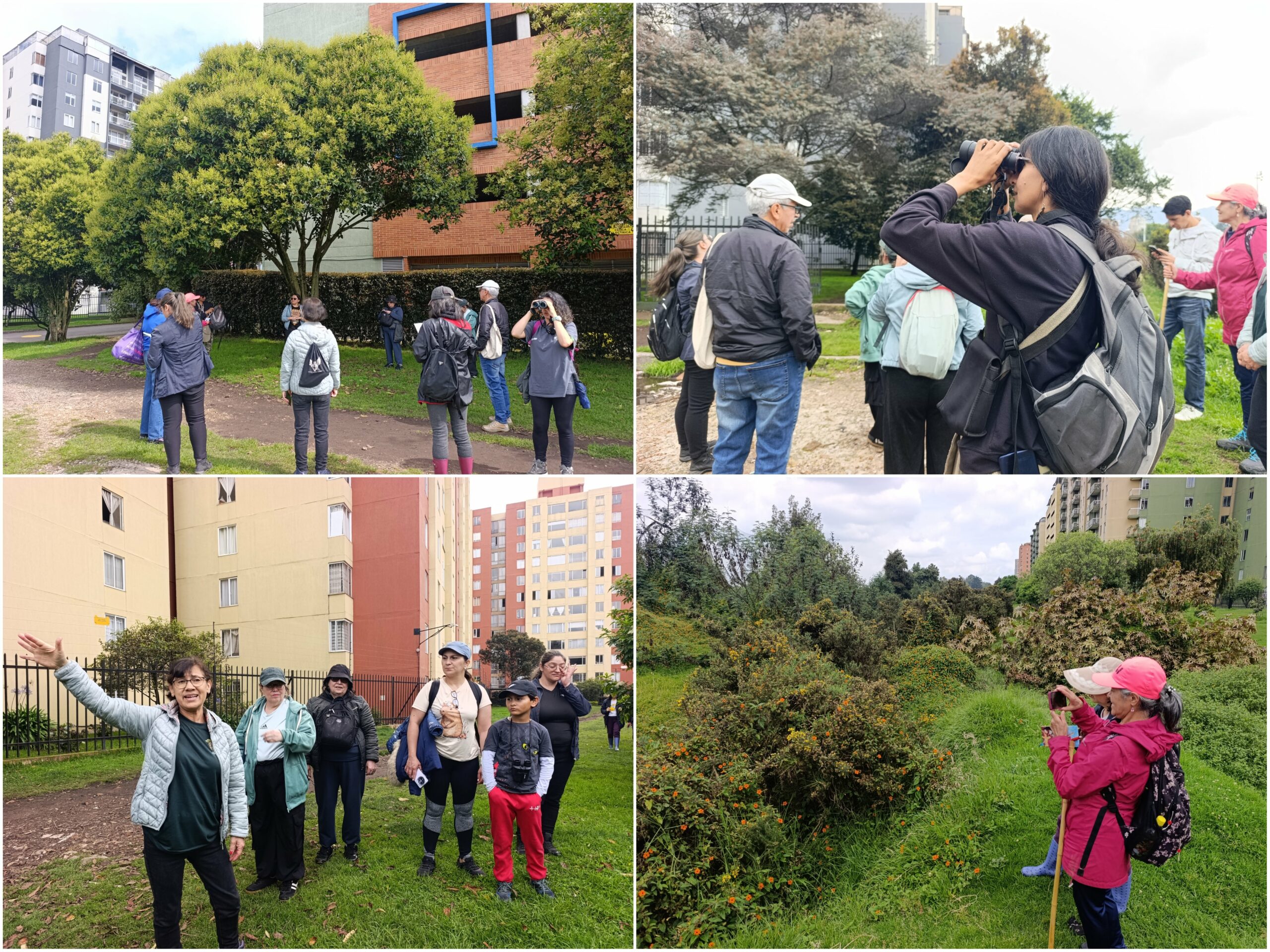 Historias del verde urbano: Una ‘caminata consciente’ por el bosque que la comunidad salvó de ser atropellado por una vía