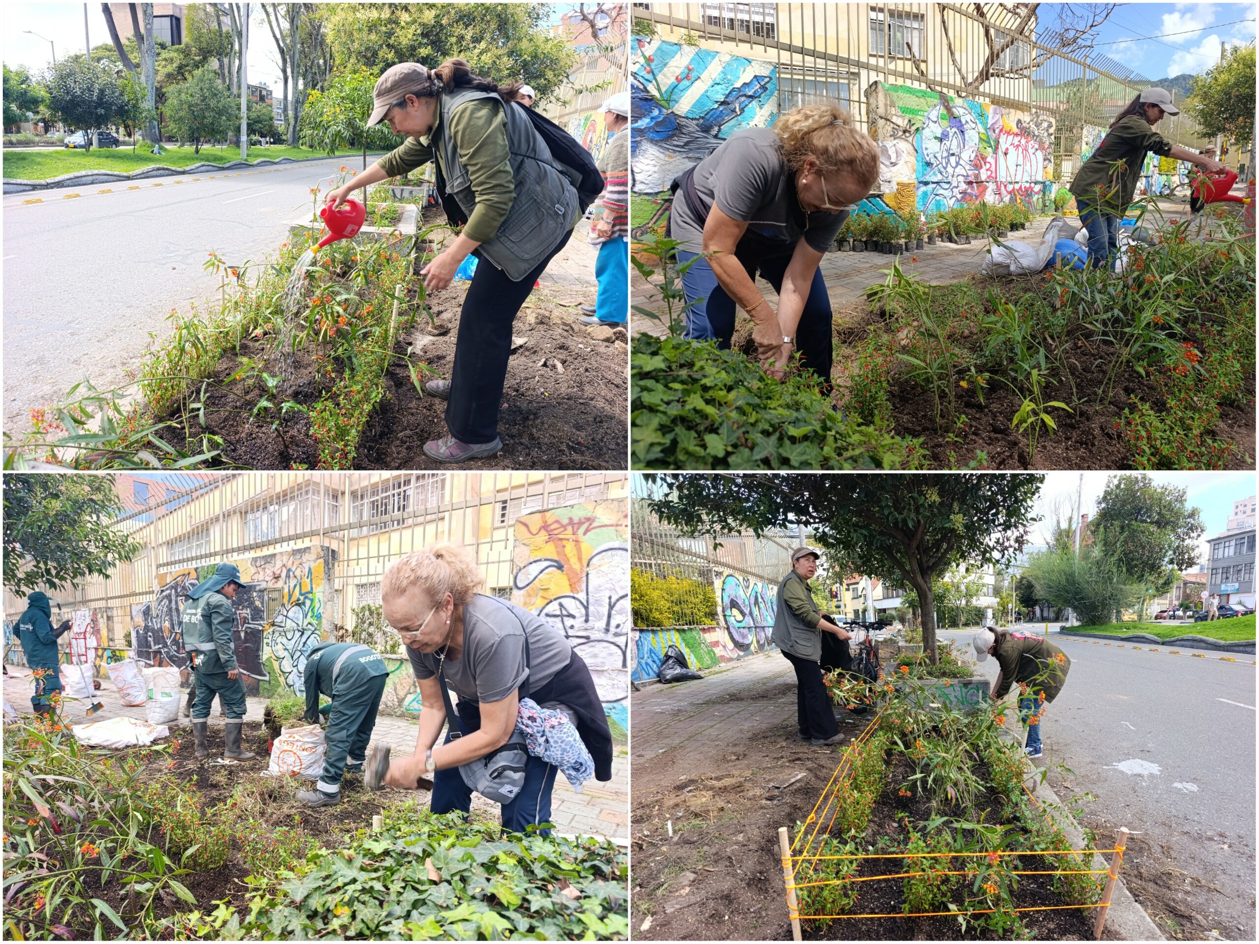 Historias del verde urbano: ¡El Parkway viste sus andenes con jardines biodiversos!