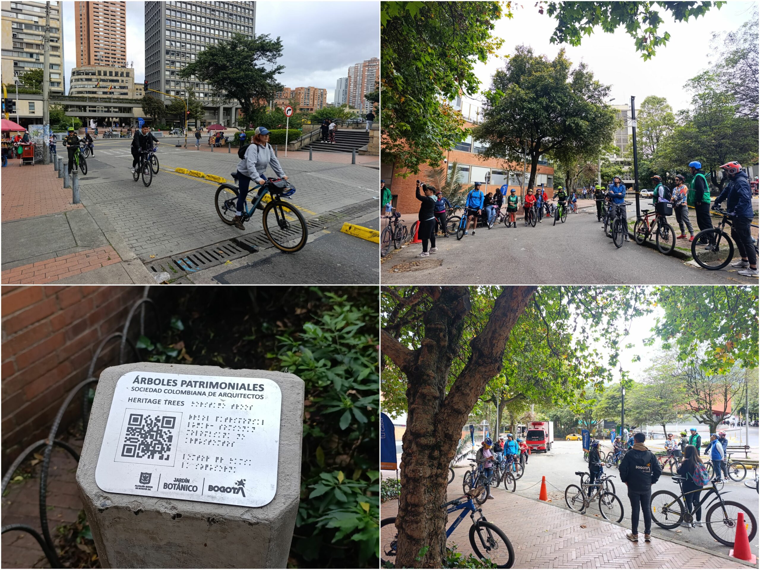 Historias del verde urbano: Ciclopaseo por el patrimonio verde del centro histórico Historias del verde urbano: Ciclopaseo por el patrimonio verde del centro histórico