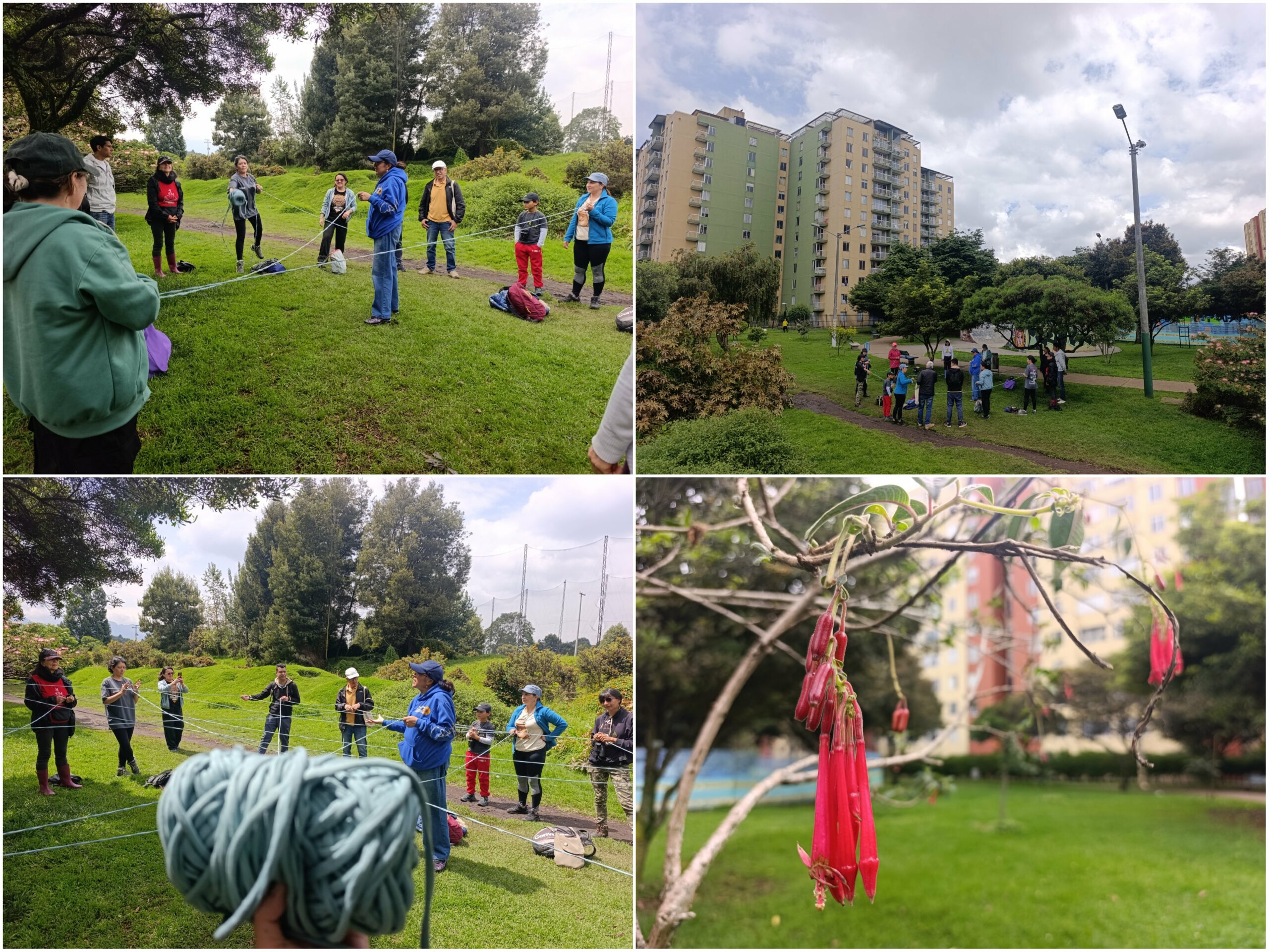 Historias del verde urbano: Una ‘caminata consciente’ por el bosque que la comunidad salvó de ser atropellado por una vía