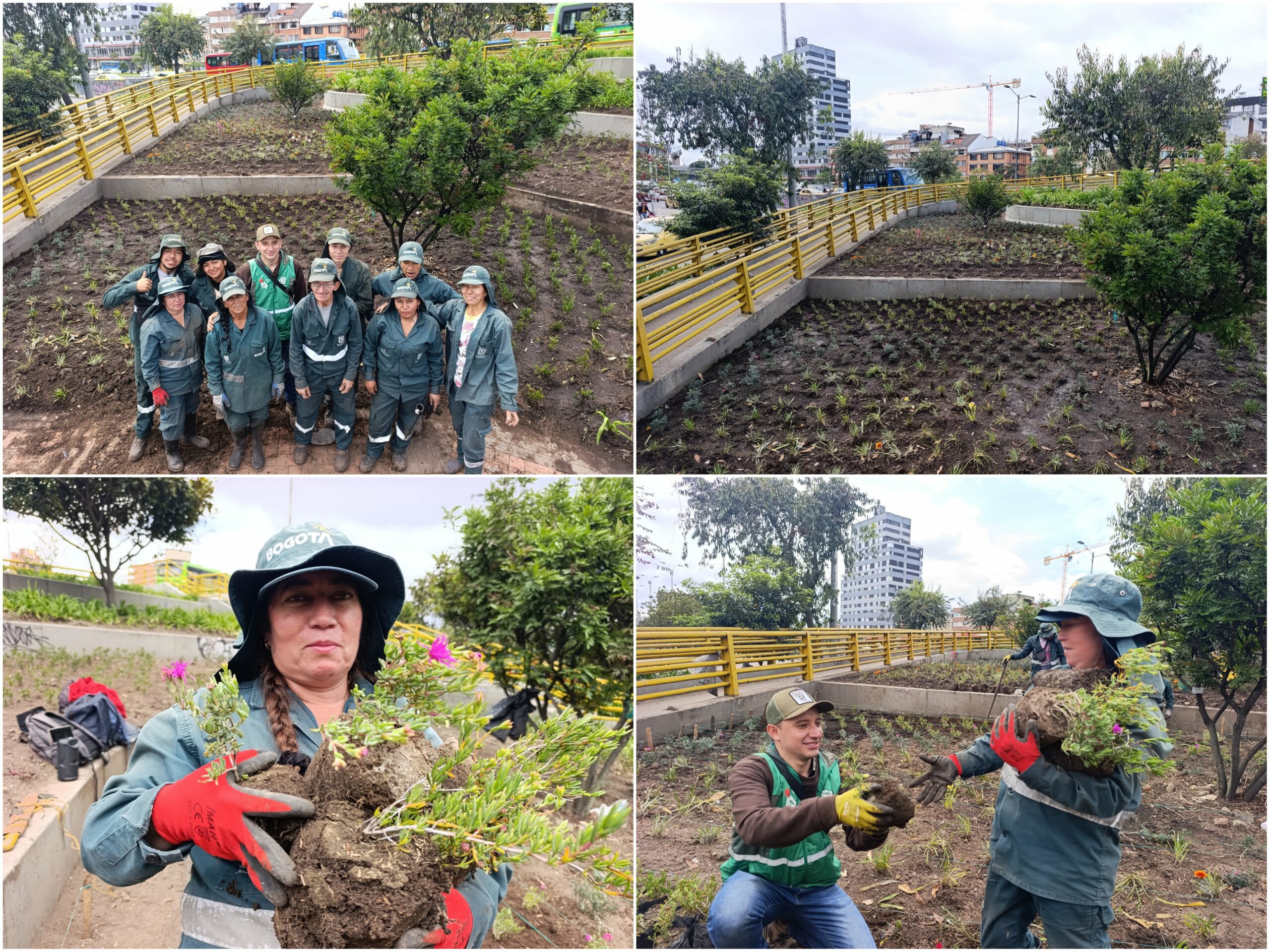 Historias del verde urbano: ¡La renaturalización de los alrededores del CAD!