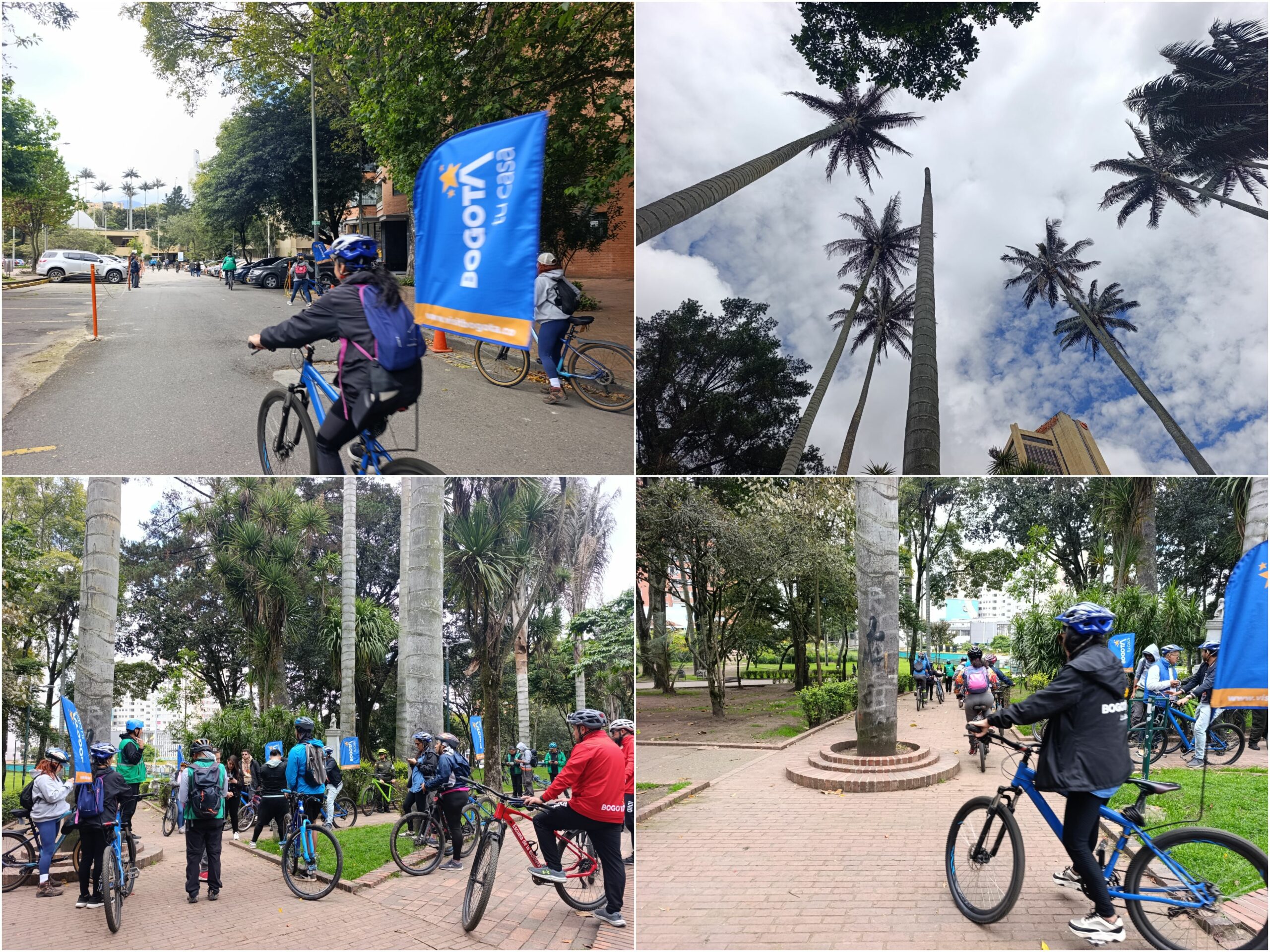 Historias del verde urbano: Ciclopaseo por el patrimonio verde del centro histórico Historias del verde urbano: Ciclopaseo por el patrimonio verde del centro histórico