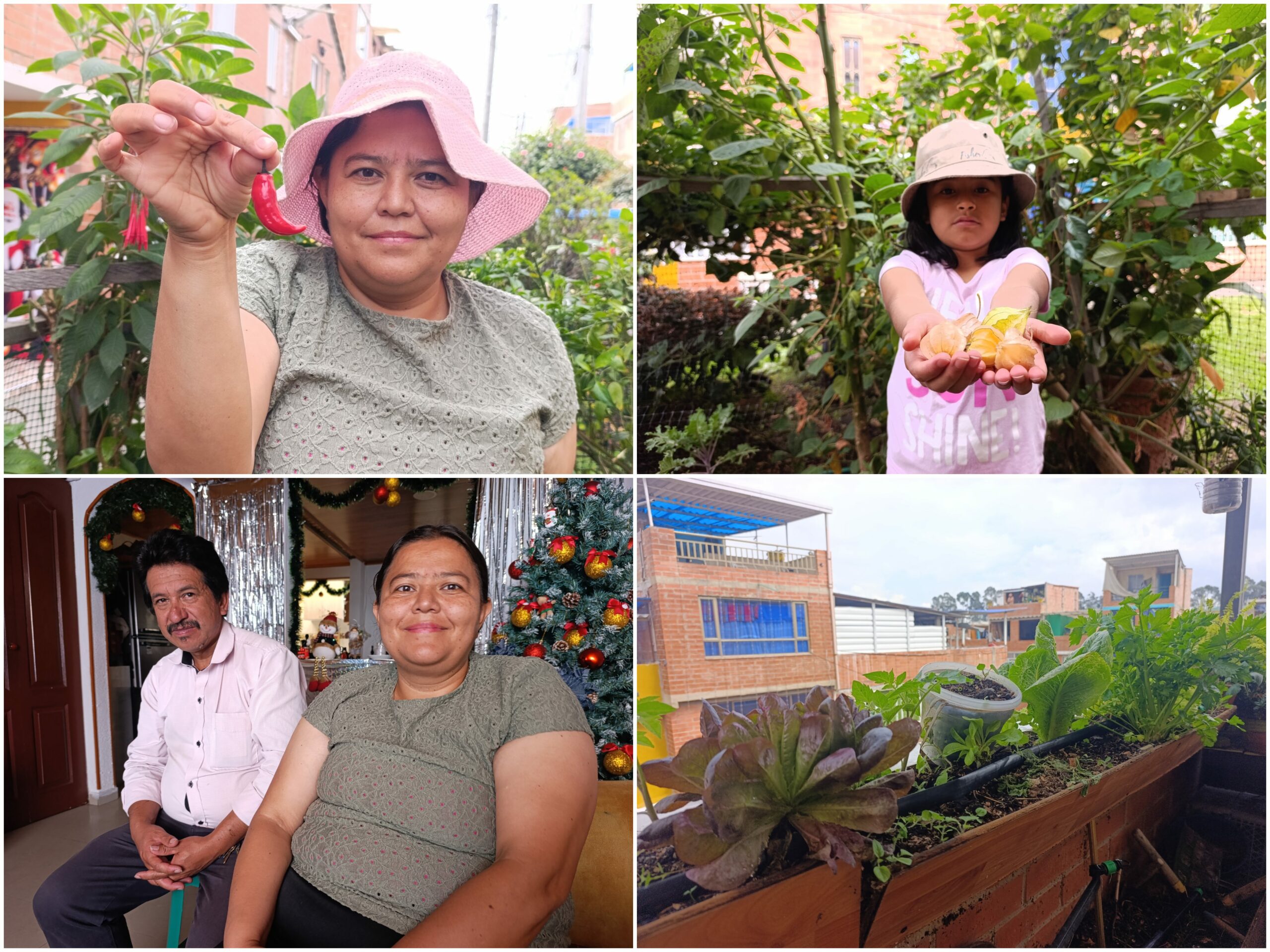 Historias del verde urbano: La nueva lideresa y empresaria huertera de Suba