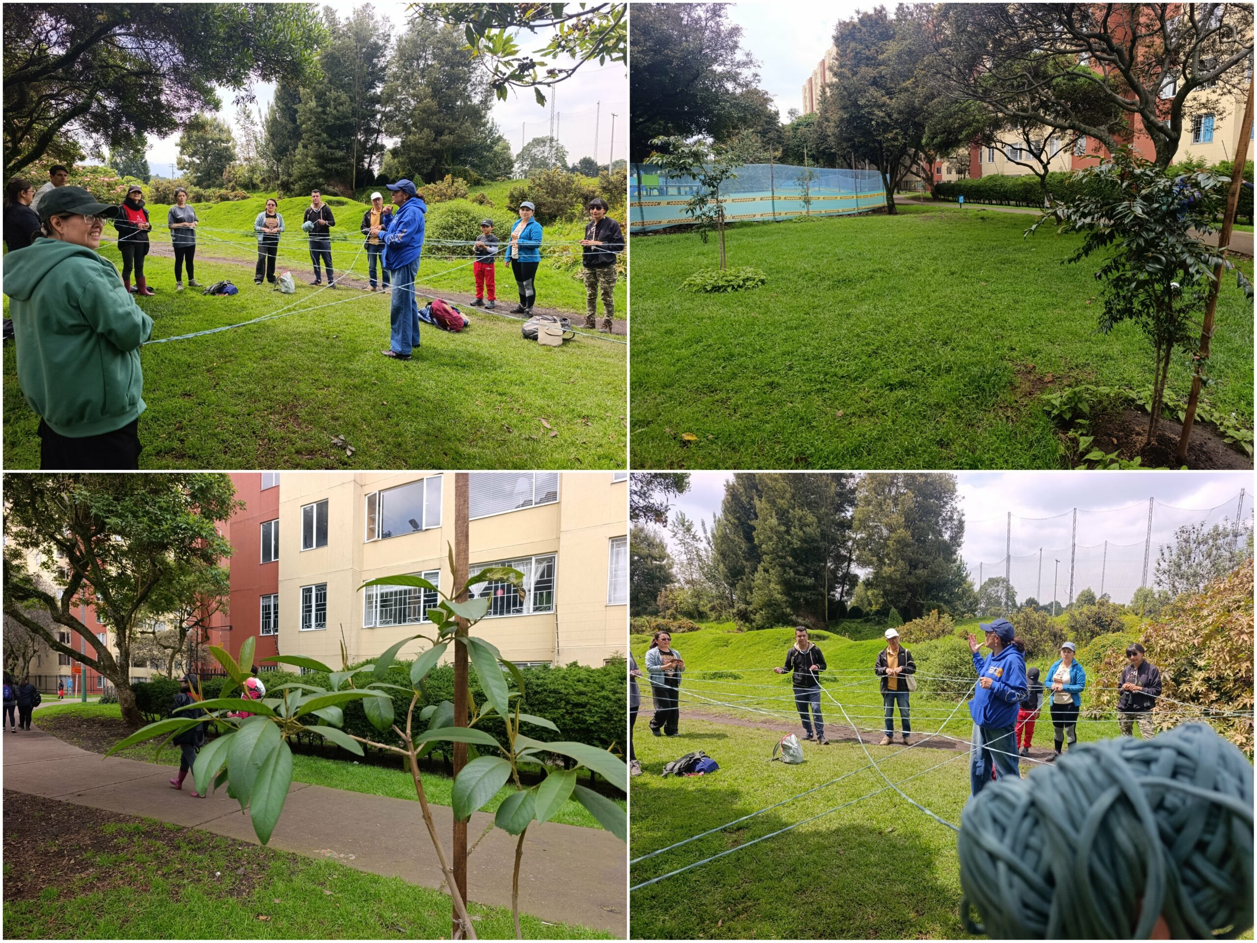 Historias del verde urbano: Una ‘caminata consciente’ por el bosque que la comunidad salvó de ser atropellado por una vía