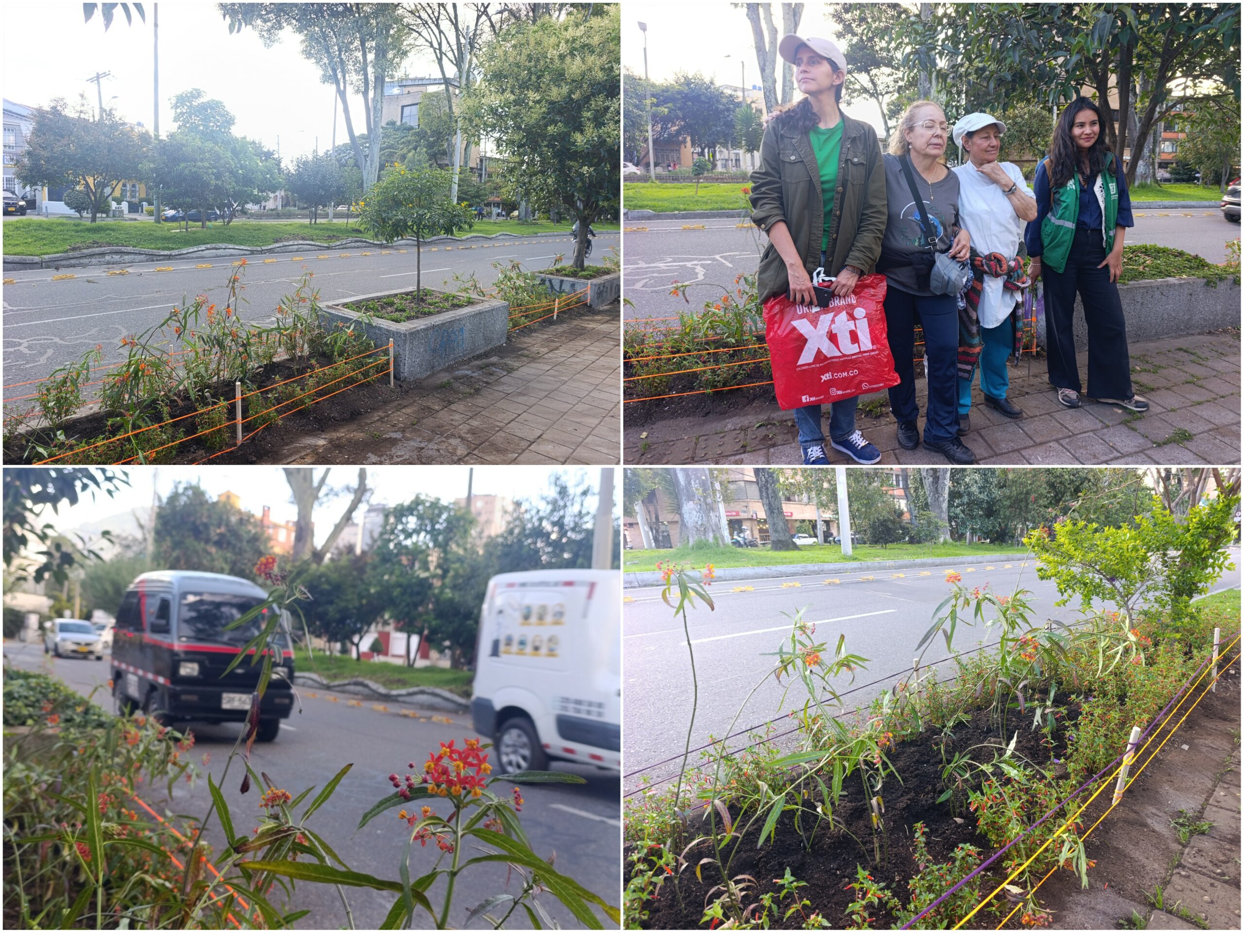 Historias del verde urbano: ¡El Parkway viste sus andenes con jardines biodiversos!