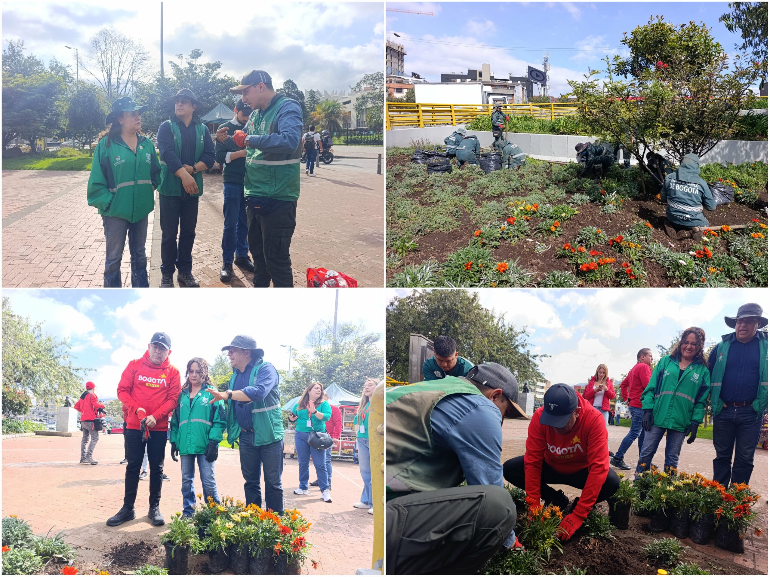 Historias del verde urbano: ¡La renaturalización de los alrededores del CAD!