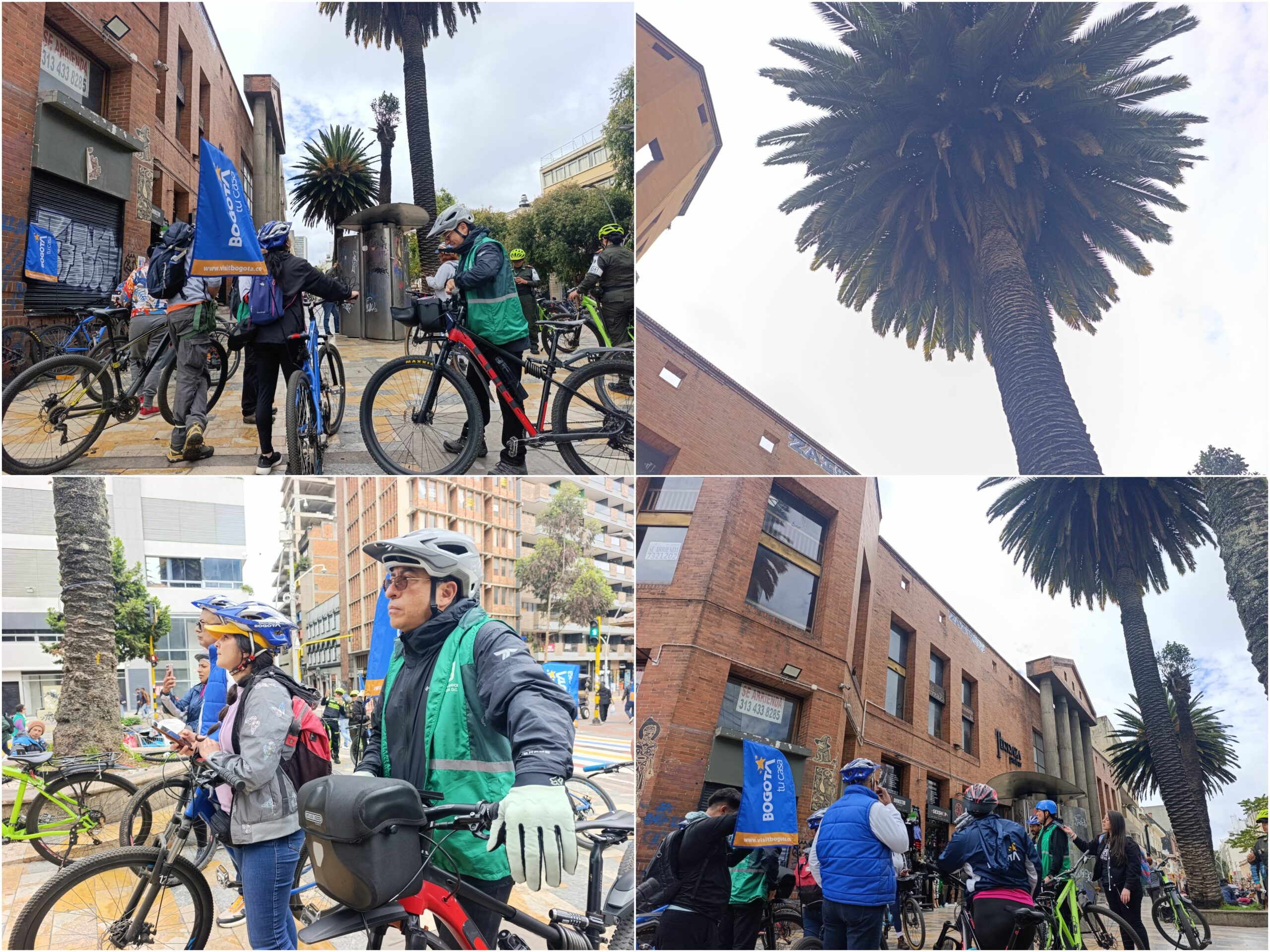 Historias del verde urbano: Ciclopaseo por el patrimonio verde del centro histórico Historias del verde urbano: Ciclopaseo por el patrimonio verde del centro histórico