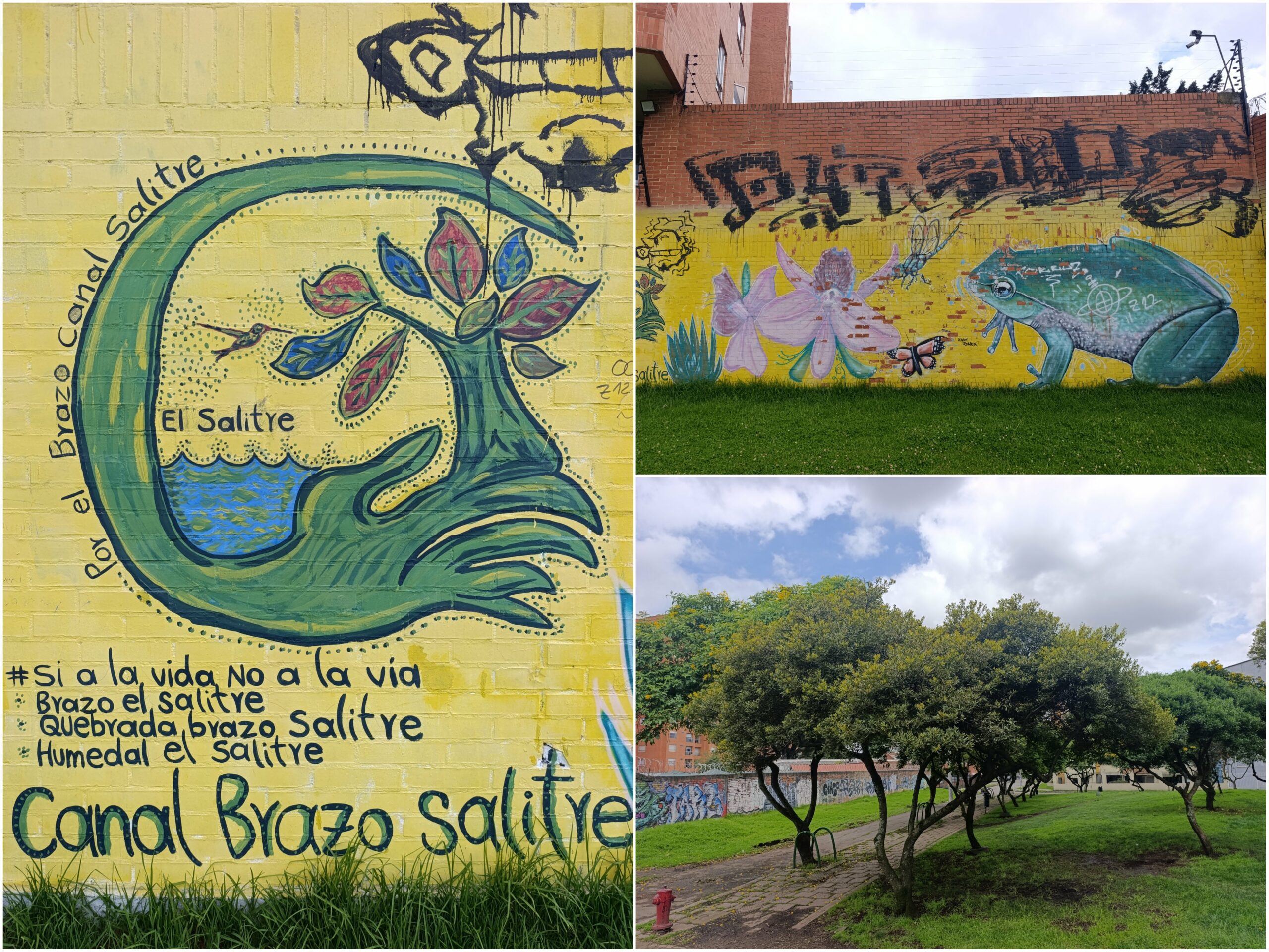 Historias del verde urbano: Una ‘caminata consciente’ por el bosque que la comunidad salvó de ser atropellado por una vía