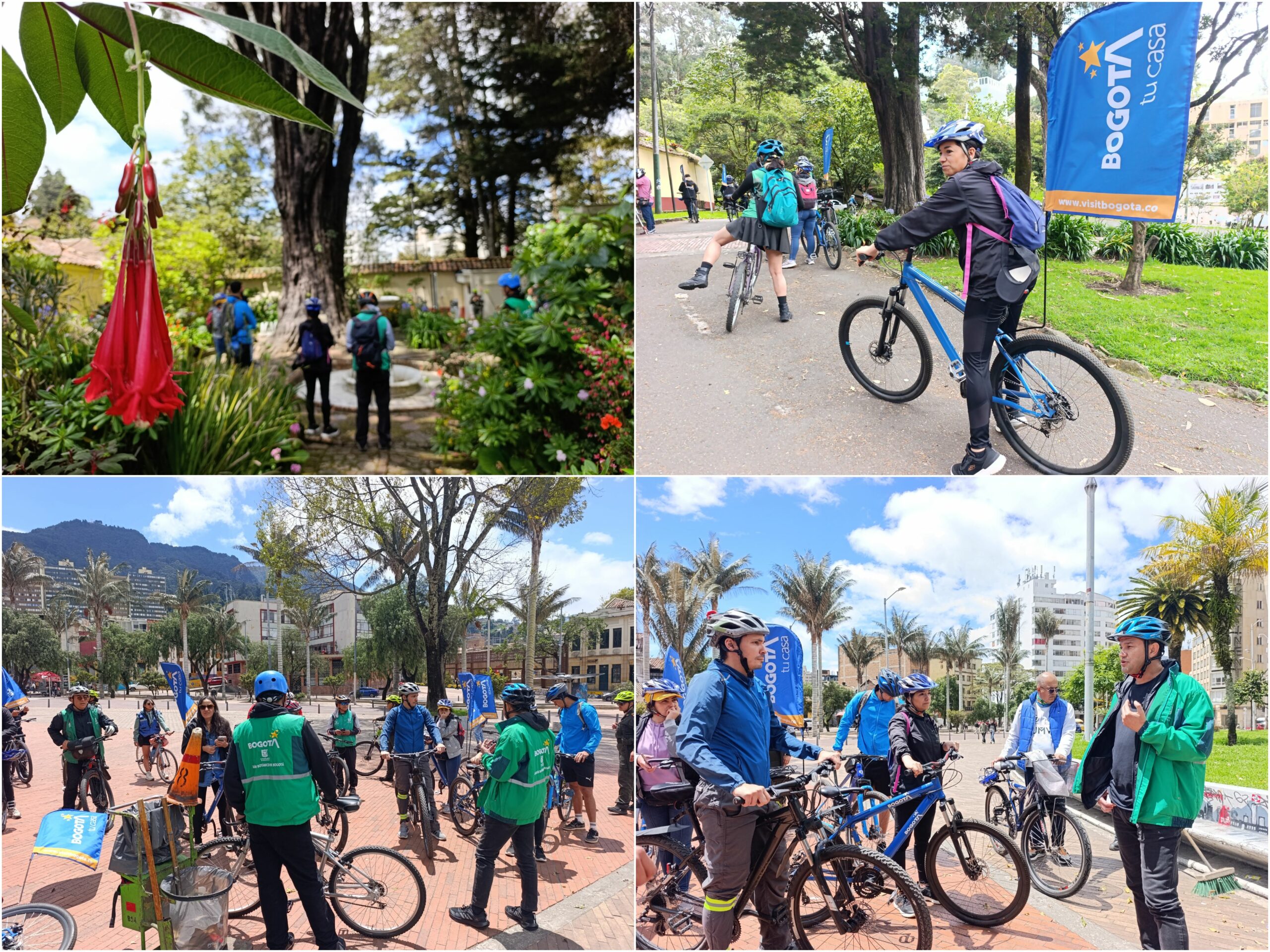 Historias del verde urbano: Ciclopaseo por el patrimonio verde del centro histórico Historias del verde urbano: Ciclopaseo por el patrimonio verde del centro histórico