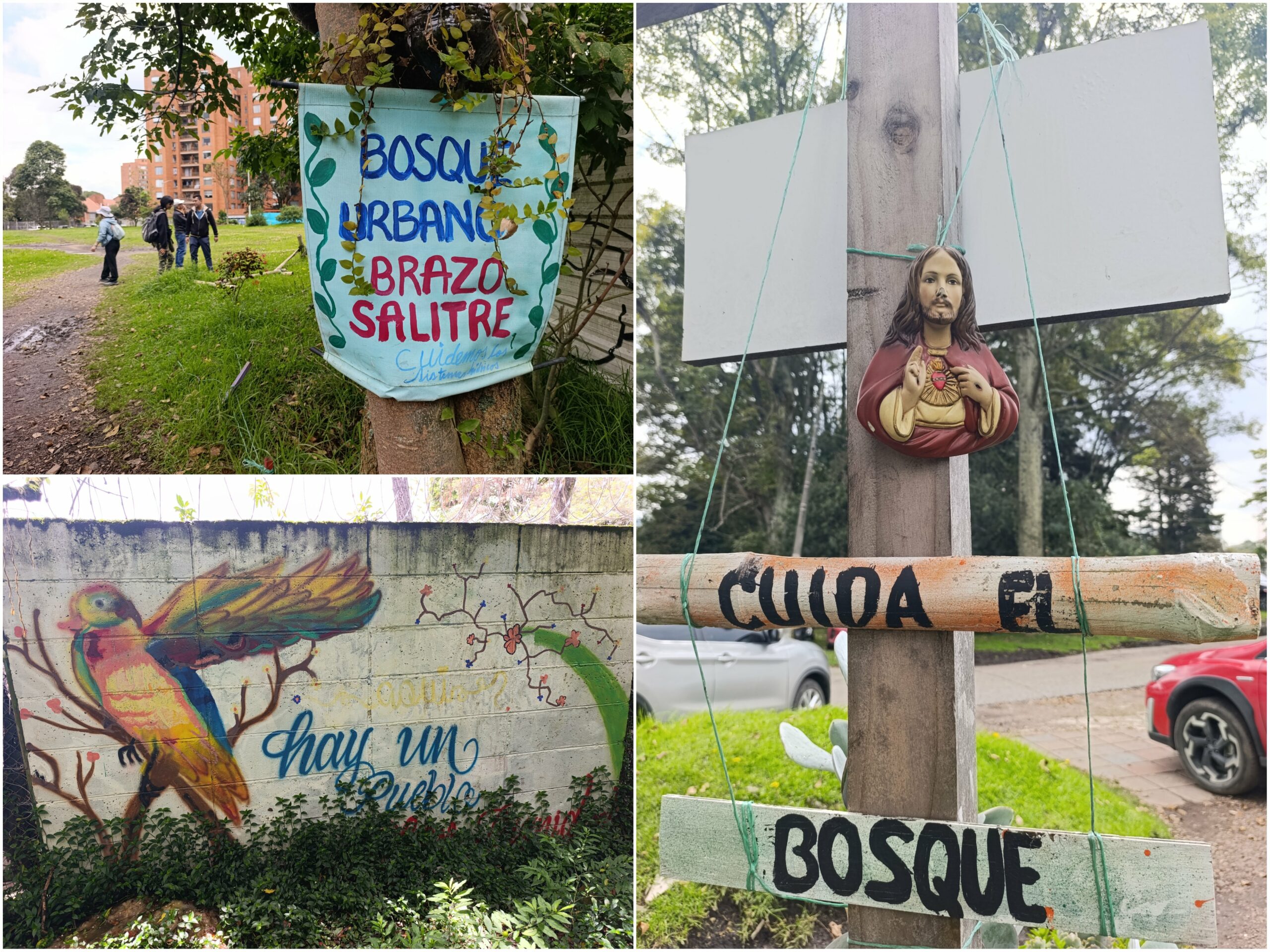 Historias del verde urbano: Una ‘caminata consciente’ por el bosque que la comunidad salvó de ser atropellado por una vía