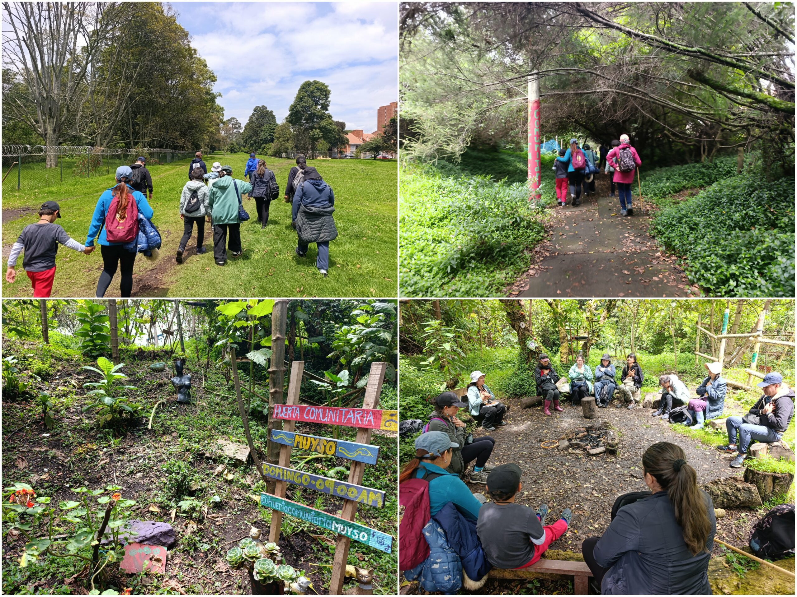 Historias del verde urbano: Una ‘caminata consciente’ por el bosque que la comunidad salvó de ser atropellado por una vía