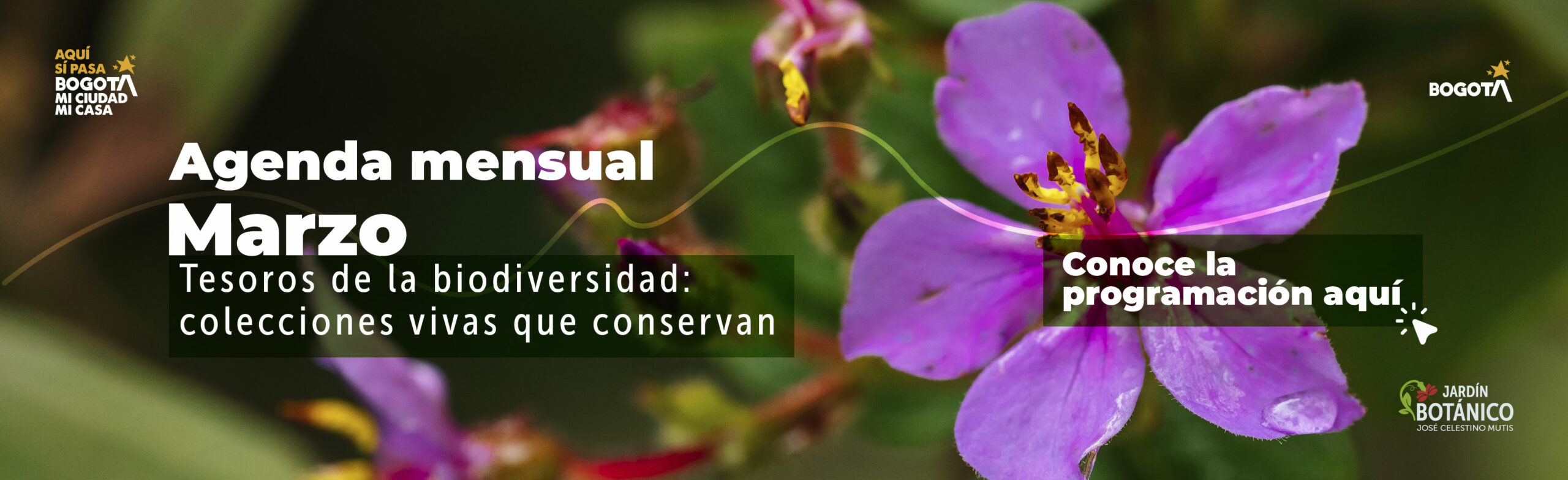 Agenda cultural 2026