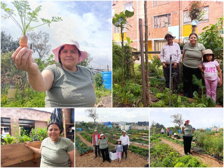 Historias del verde urbano: La nueva lideresa y empresaria huertera de Suba