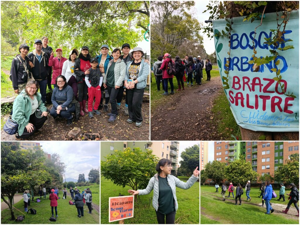 Historias del verde urbano: Una ‘caminata consciente’ por el bosque que la comunidad salvó de ser atropellado por una vía