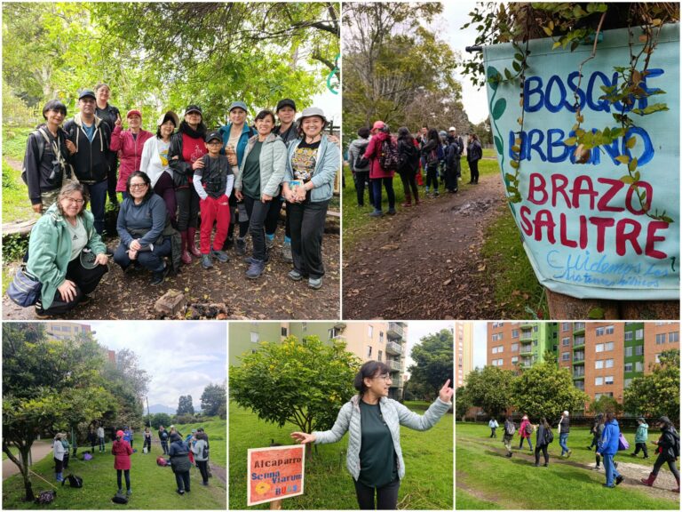 Historias del verde urbano: Una ‘caminata consciente’ por el bosque que la comunidad salvó de ser atropellado por una vía