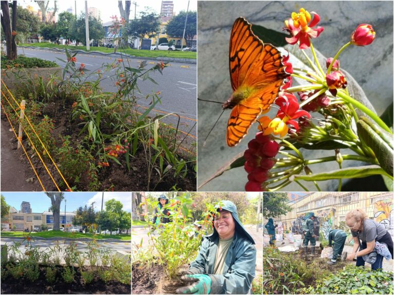 Historias del verde urbano: ¡El Parkway viste sus andenes con jardines biodiversos!