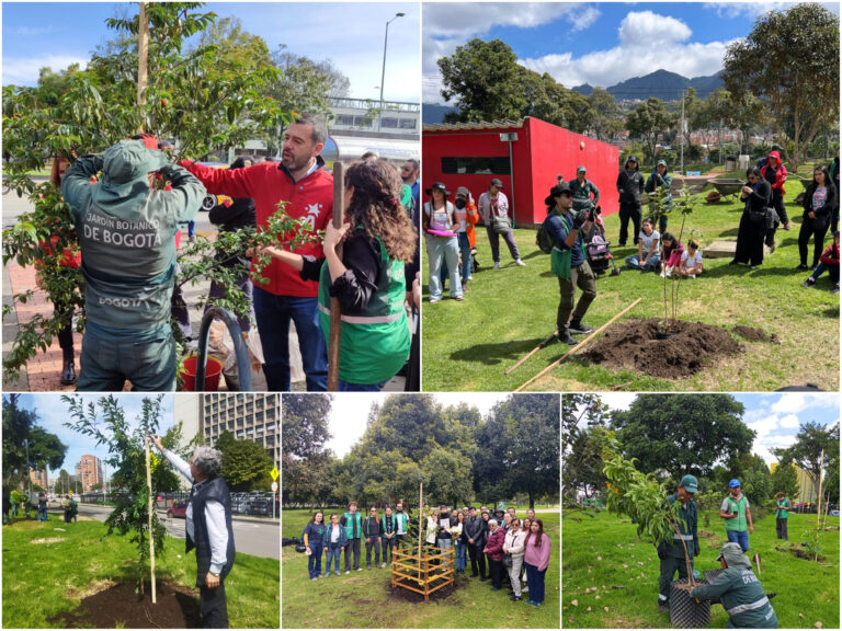 Historias del verde urbano: El Jardín Botánico de Bogotá plantó el primer centenar de árboles y arbustos de este año