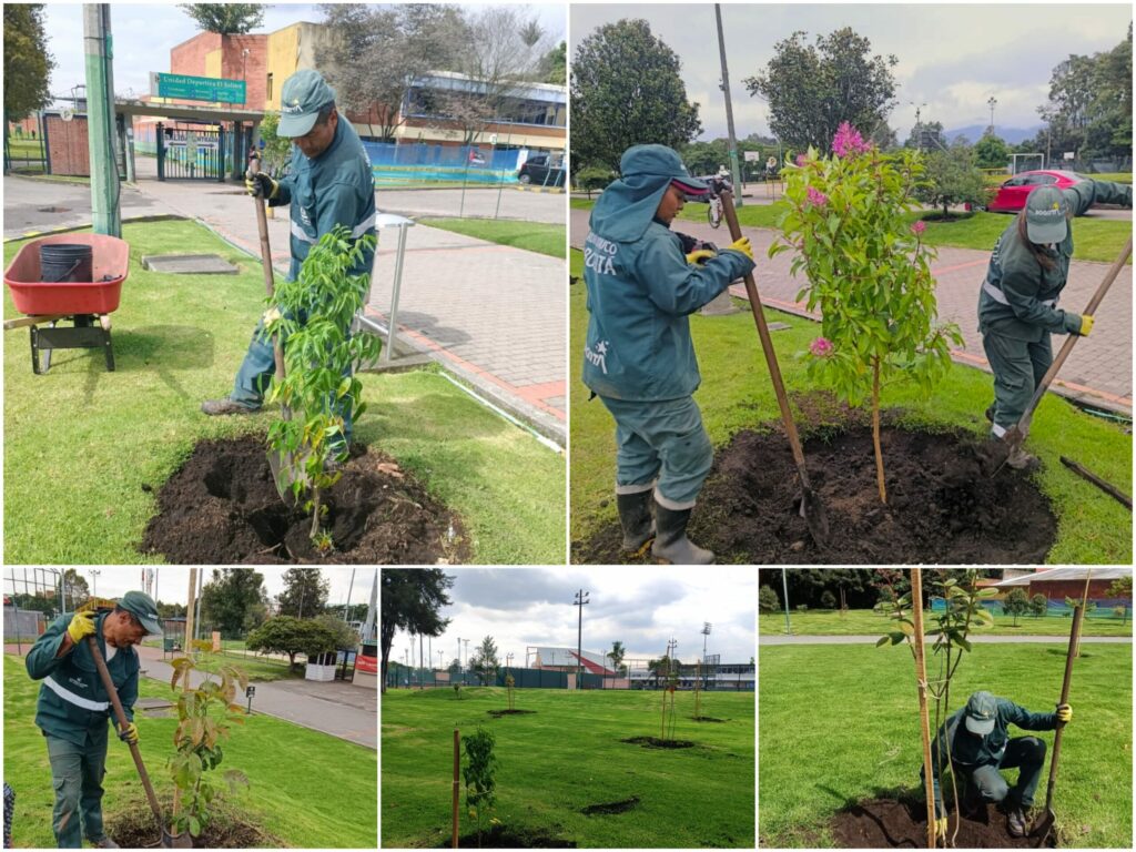 Historias del verde urbano: Inyección verde en un escenario deportivo “cincuentón”
