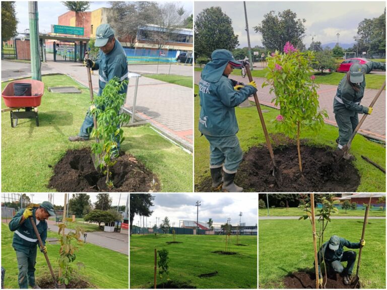 Historias del verde urbano: Inyección verde en un escenario deportivo “cincuentón”