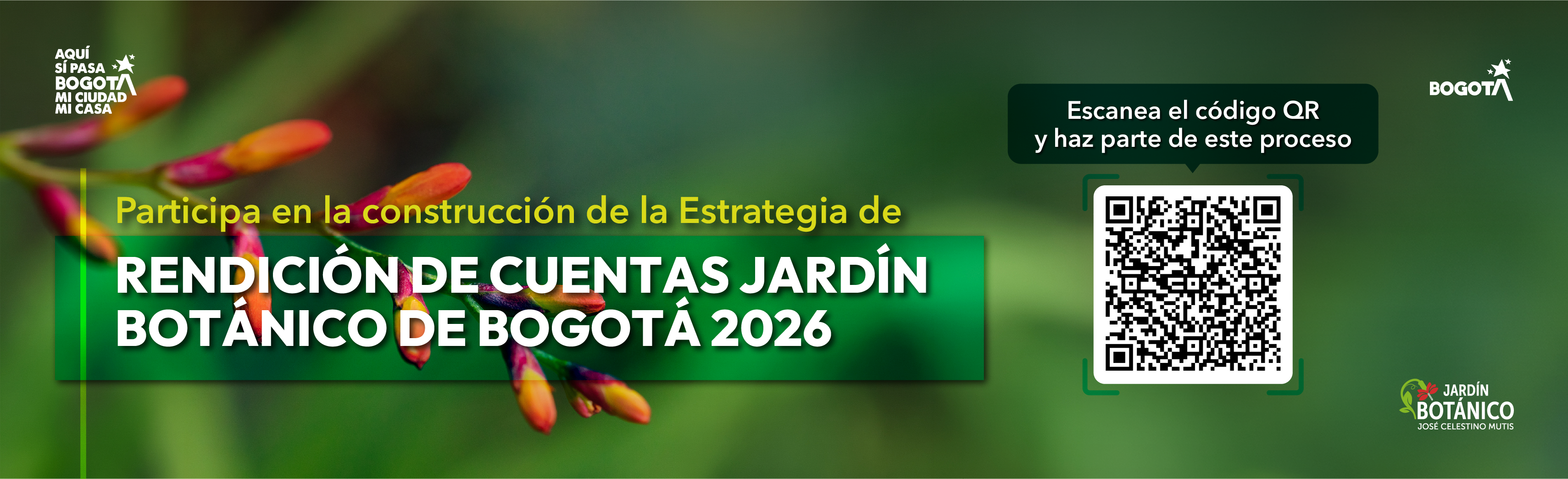 Rendicion de cuentas 2026