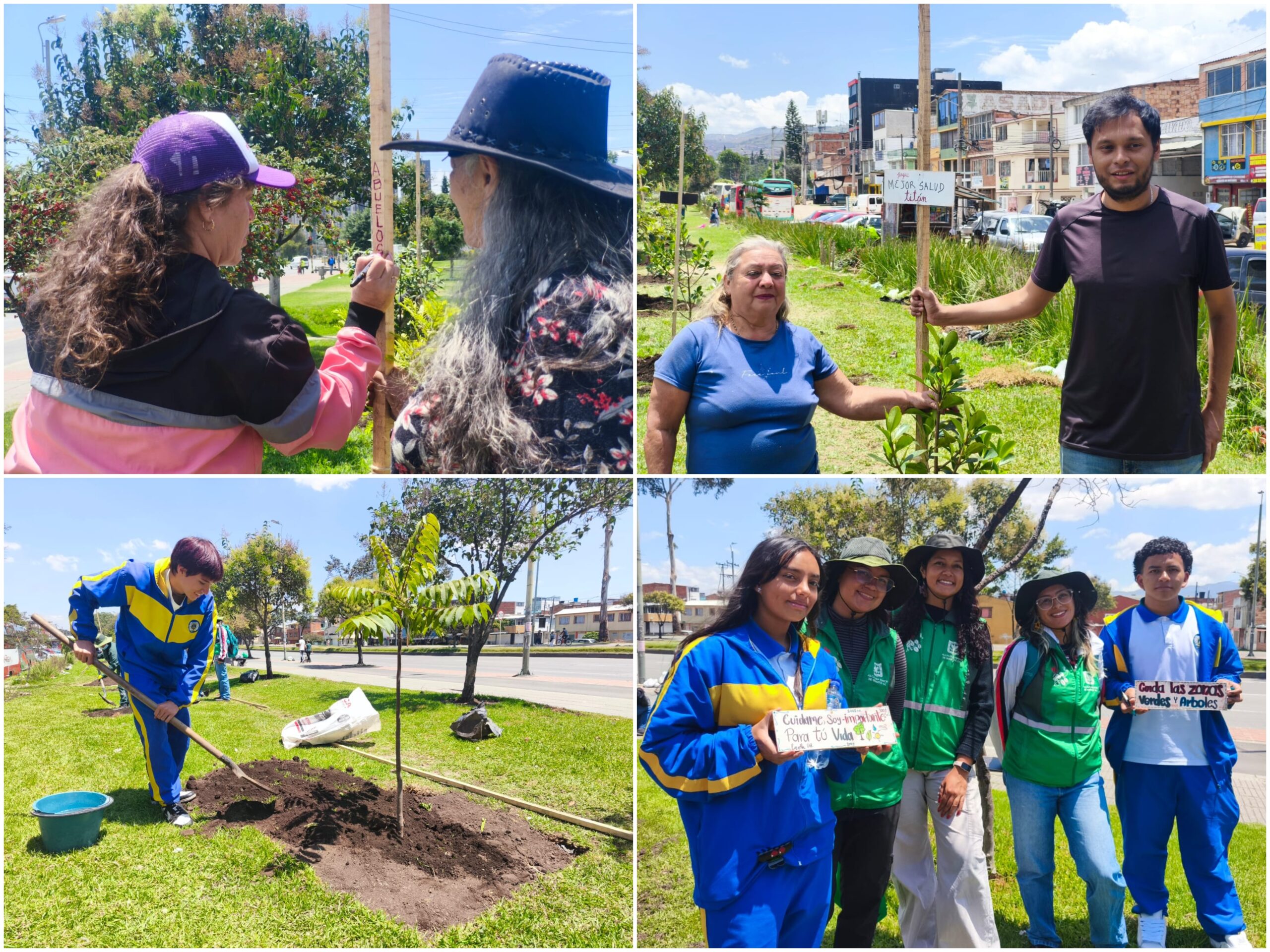 Historias del verde urbano: ¡83 nuevos pulmones verdes en el sur de Bogotá!