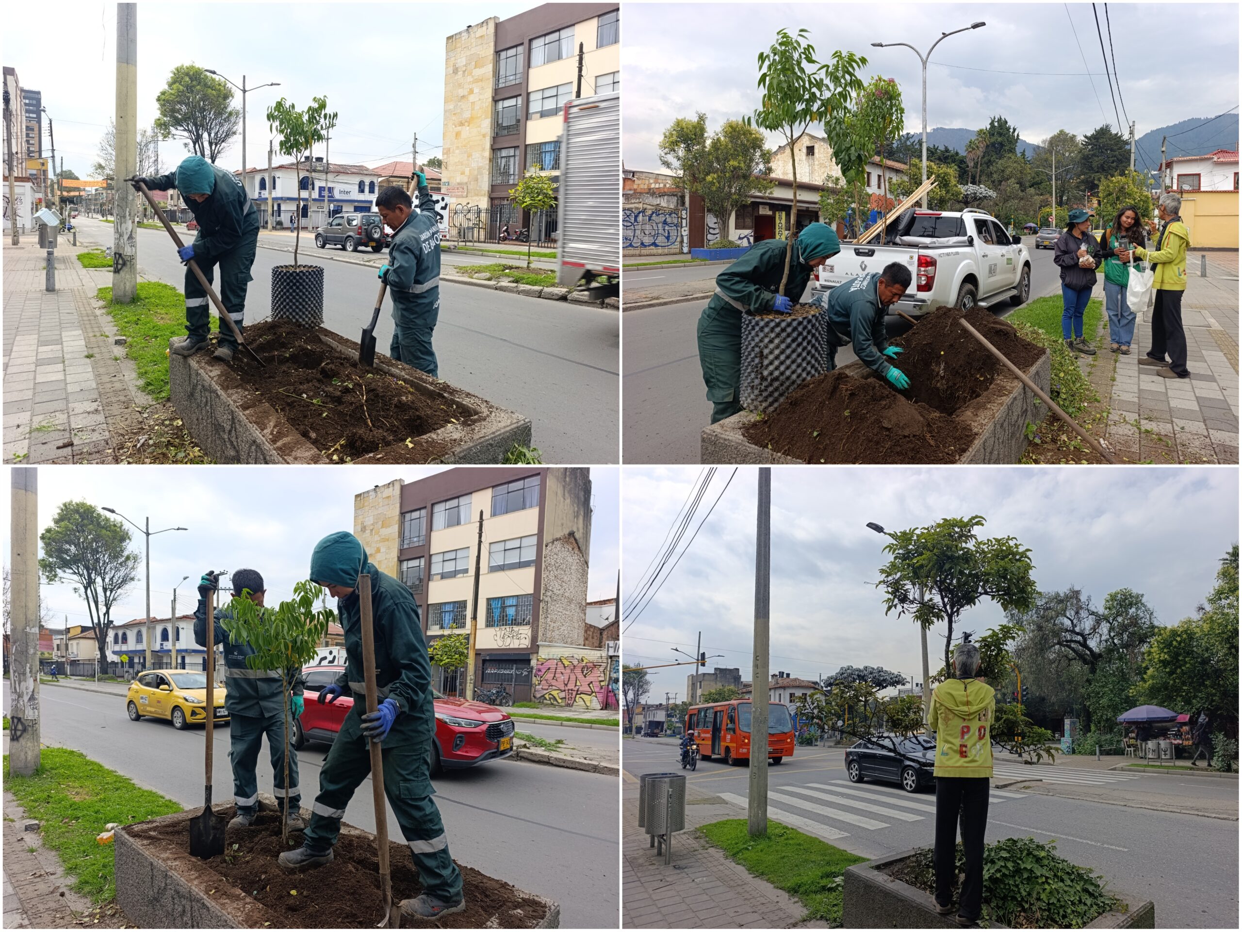 Los nuevos habitantes verdes de la avenida Teusaquillo