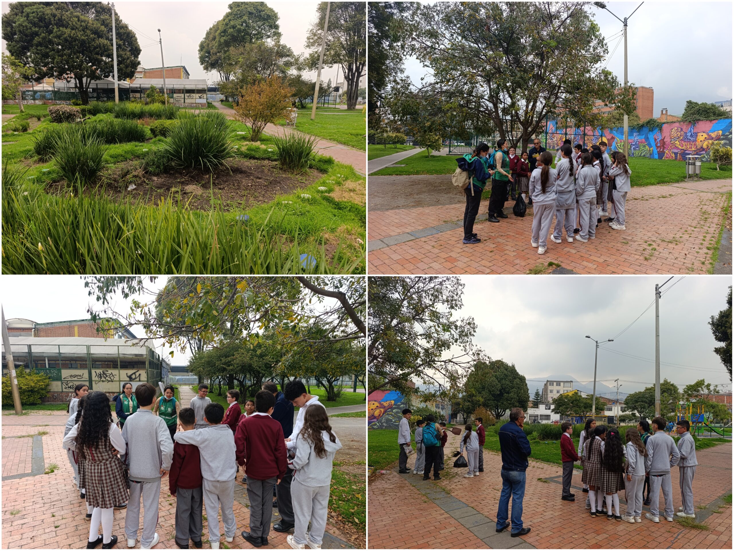 Historias del verde urbano: Los pequeños padrinos de la ‘serpiente jardinera’ del Sosiego Historias del verde urbano: Los pequeños padrinos de la ‘serpiente jardinera’ del Sosiego