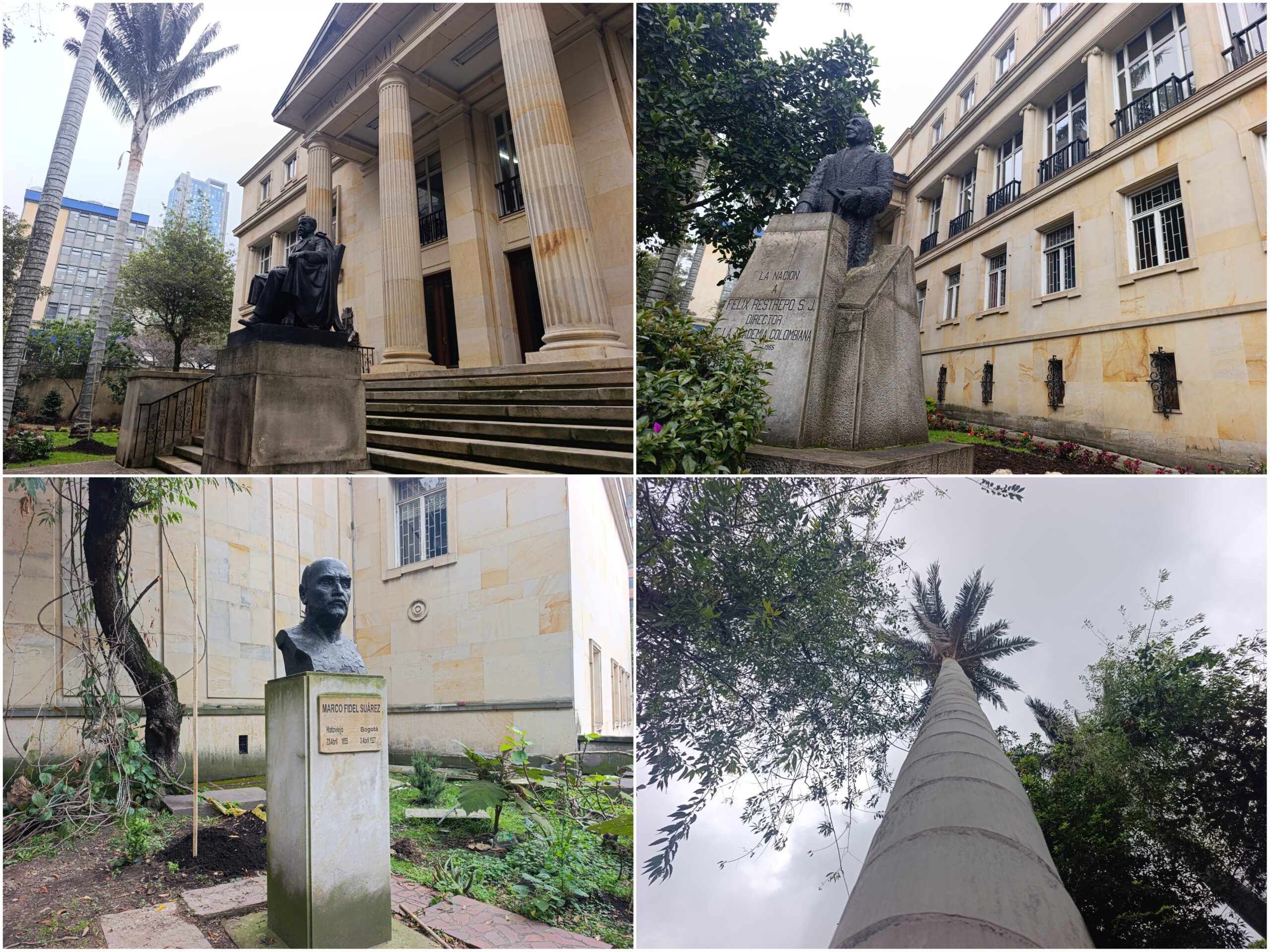 Historias del verde urbano: La transformación verde de la Academia Colombiana de la Lengua Historias del verde urbano: La transformación verde de la Academia Colombiana de la Lengua