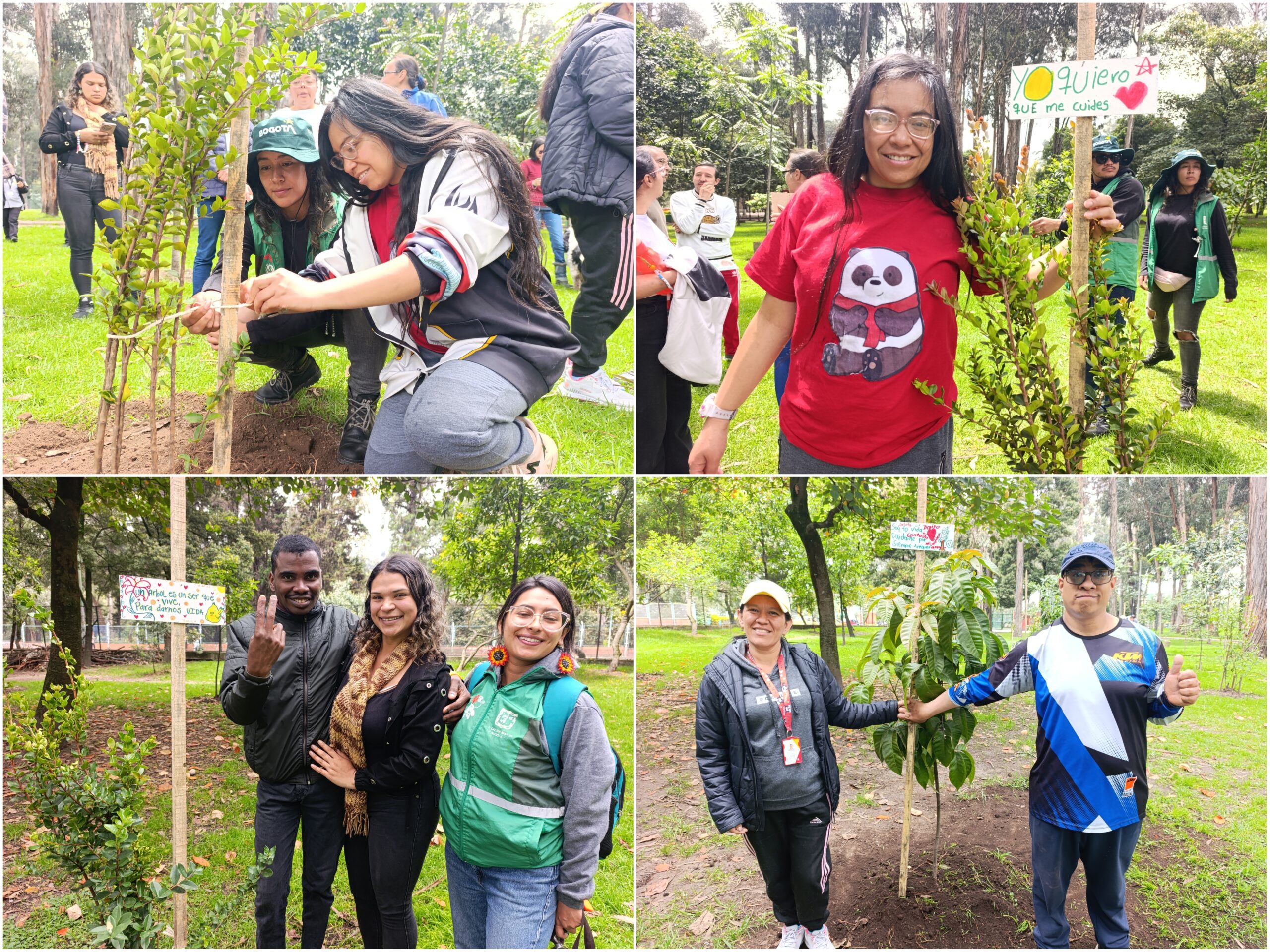 Historias del verde urbano: Una semana para homenajear a los bosques de Bogotá Historias del verde urbano: Una semana para homenajear a los bosques de Bogotá
