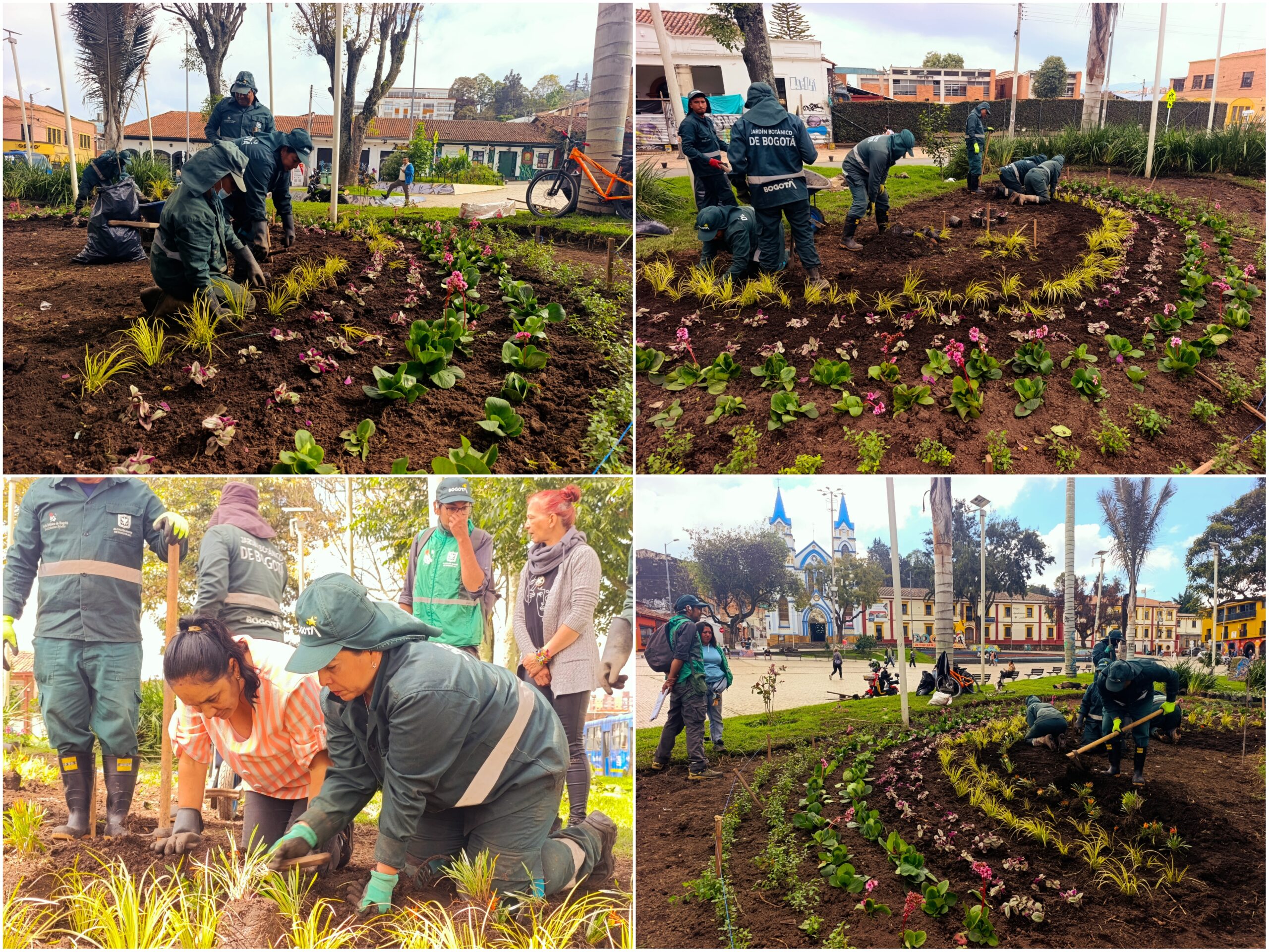 Historias del verde urbano: El arcoíris floral de la Plaza Fundacional de Suba