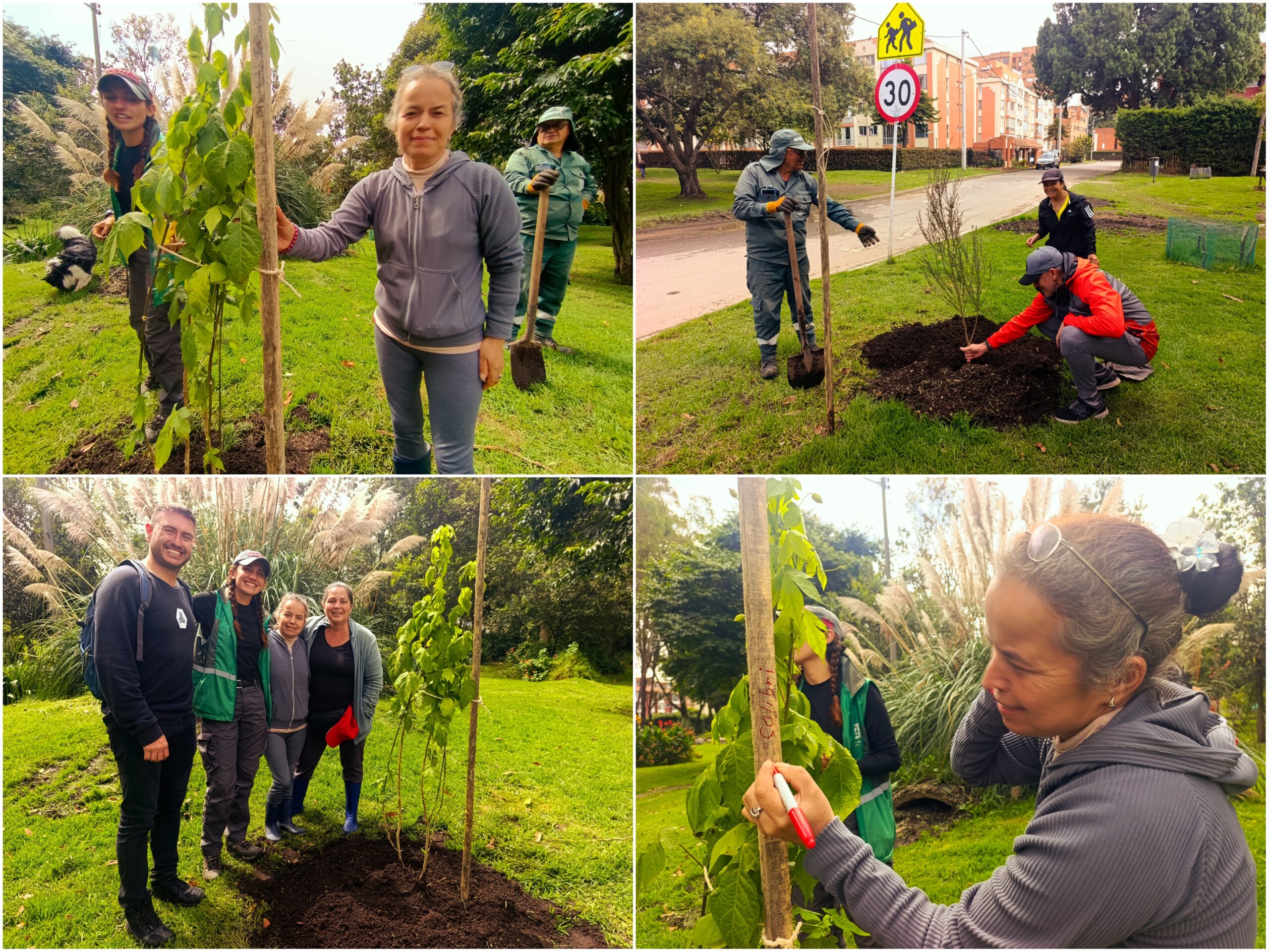 Historias del verde urbano: ¡Fiesta verde con los amigos del bosque Santa Helena!