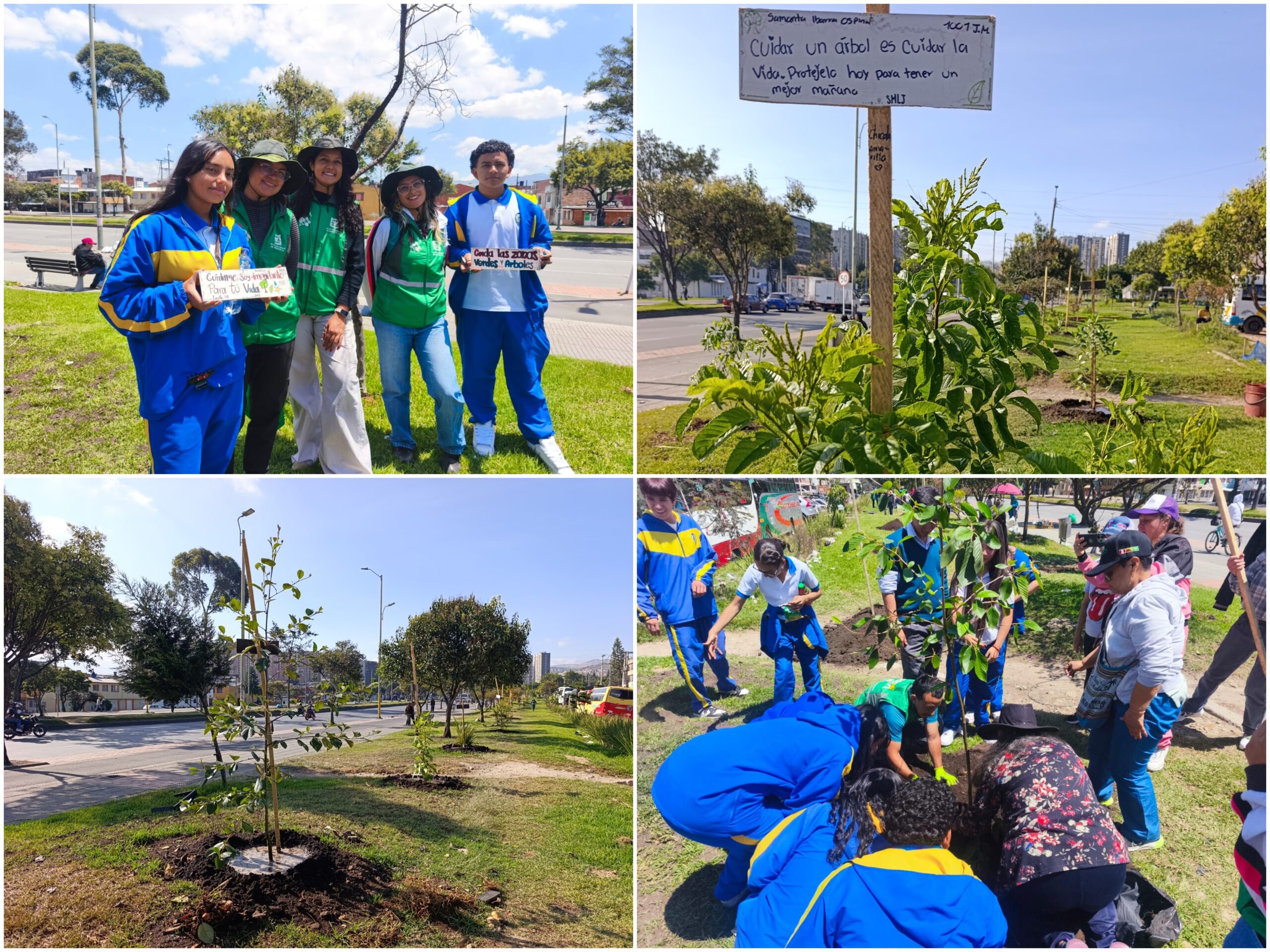 Historias del verde urbano: El despertar verde del Olarte