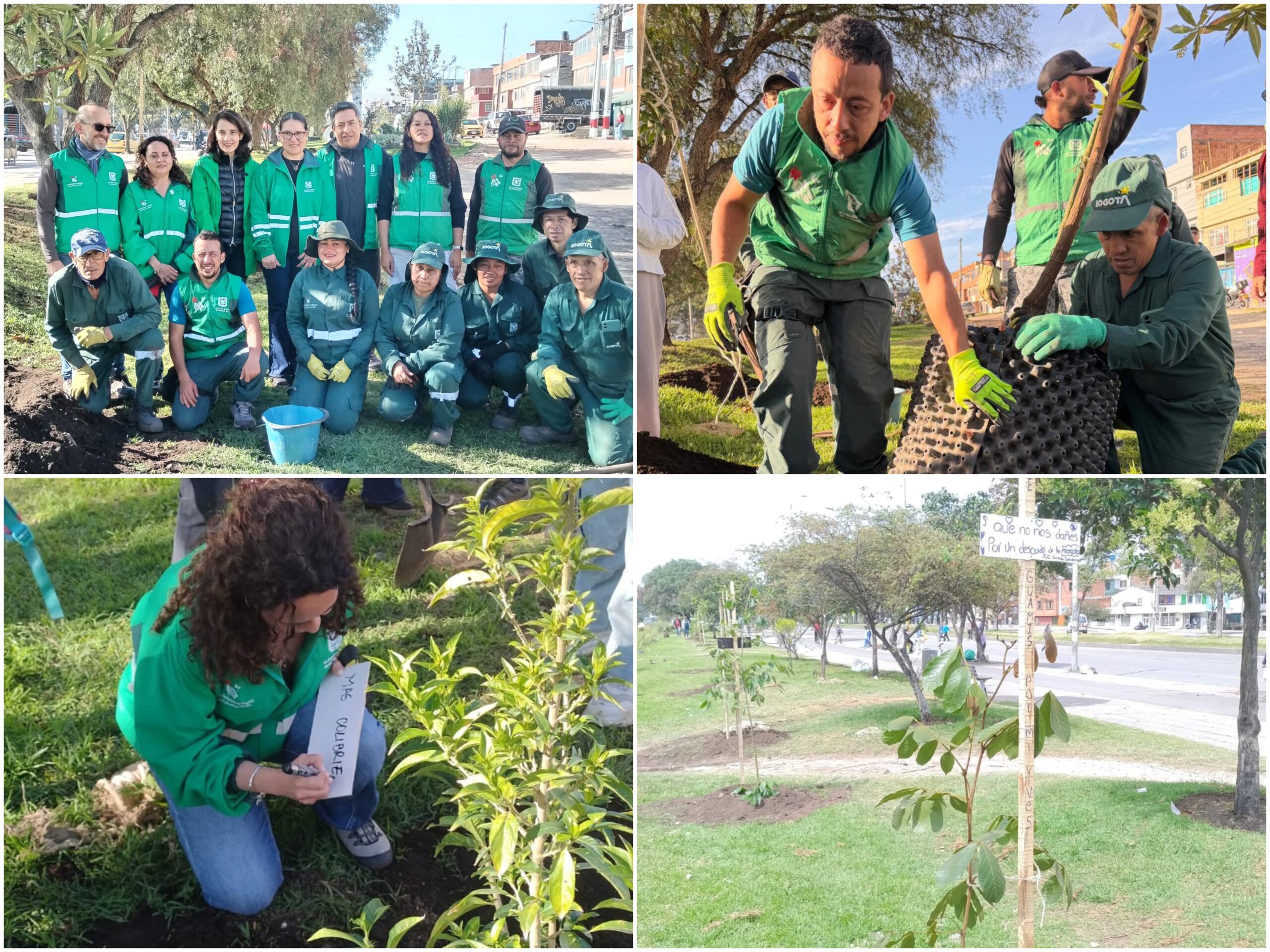 Historias del verde urbano: ¡83 nuevos pulmones verdes en el sur de Bogotá!