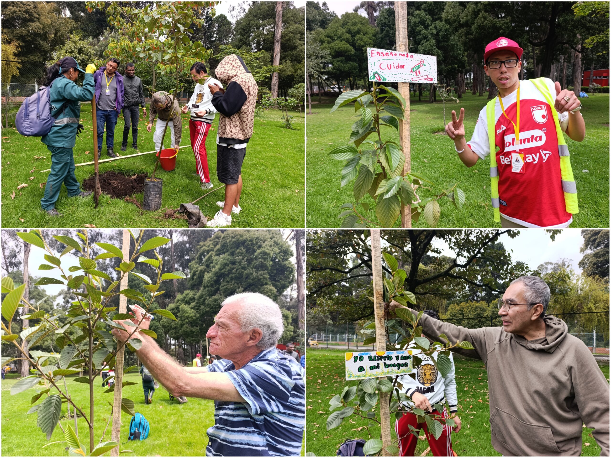 Historias del verde urbano: Una semana para homenajear a los bosques de Bogotá Historias del verde urbano: Una semana para homenajear a los bosques de Bogotá