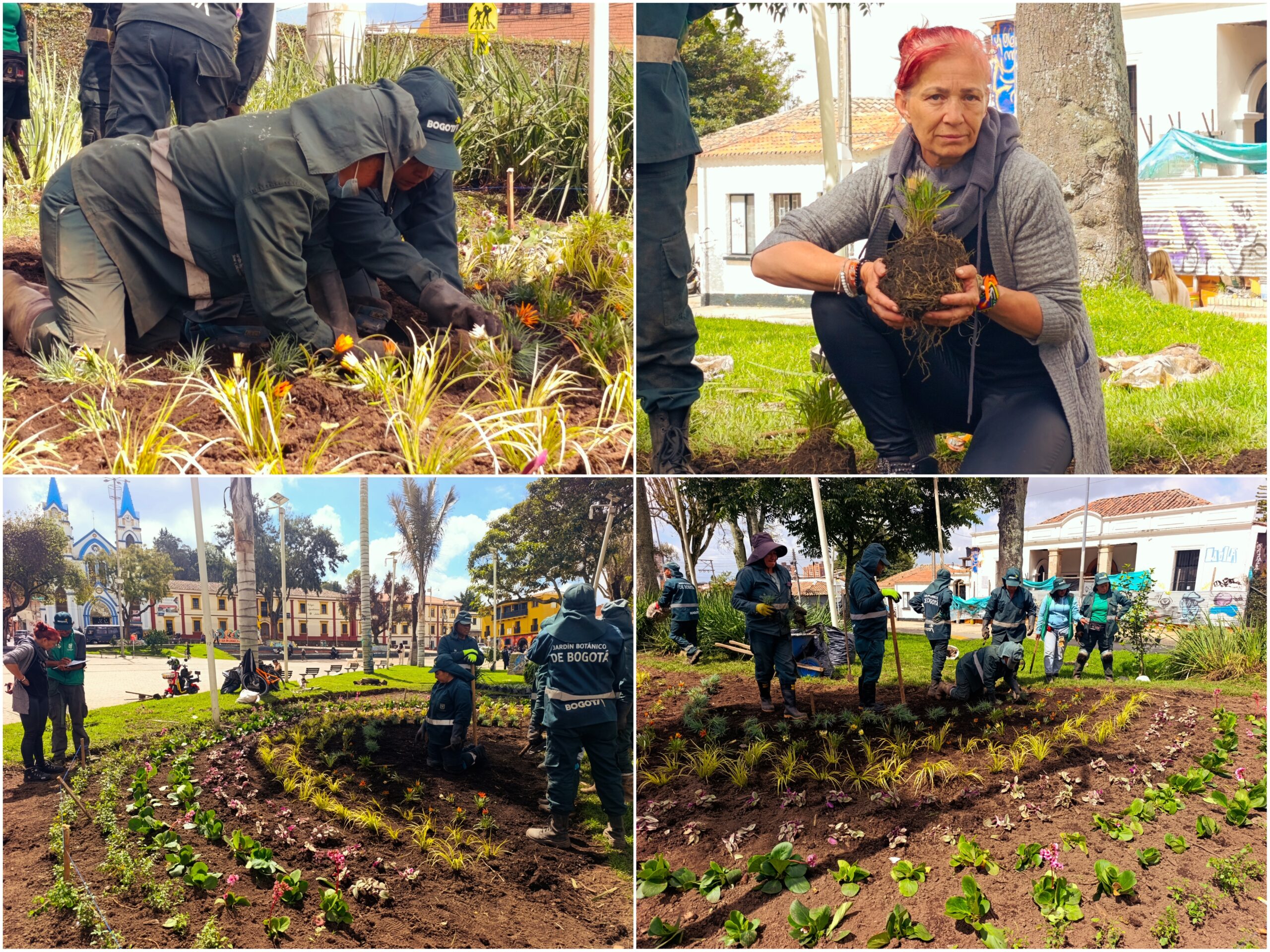 Historias del verde urbano: El arcoíris floral de la Plaza Fundacional de Suba