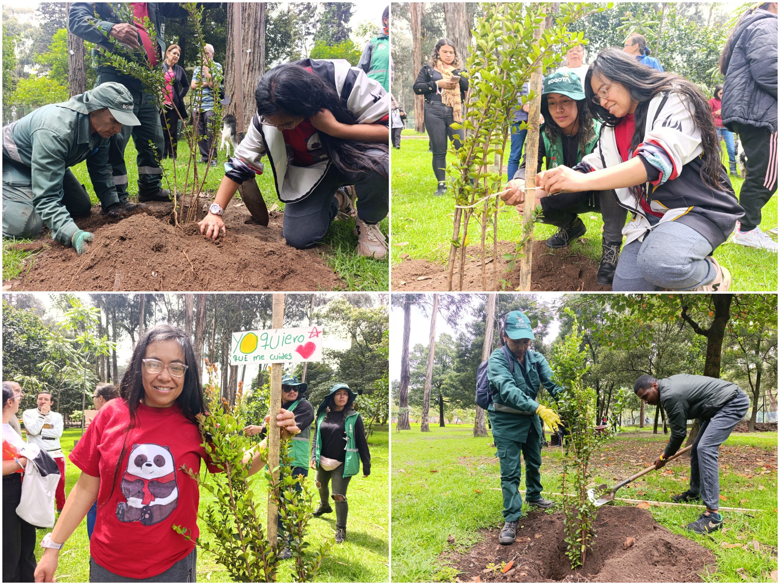 Historias del verde urbano: San Carlos: un bosque con cientos de ‘padrinos patojos’