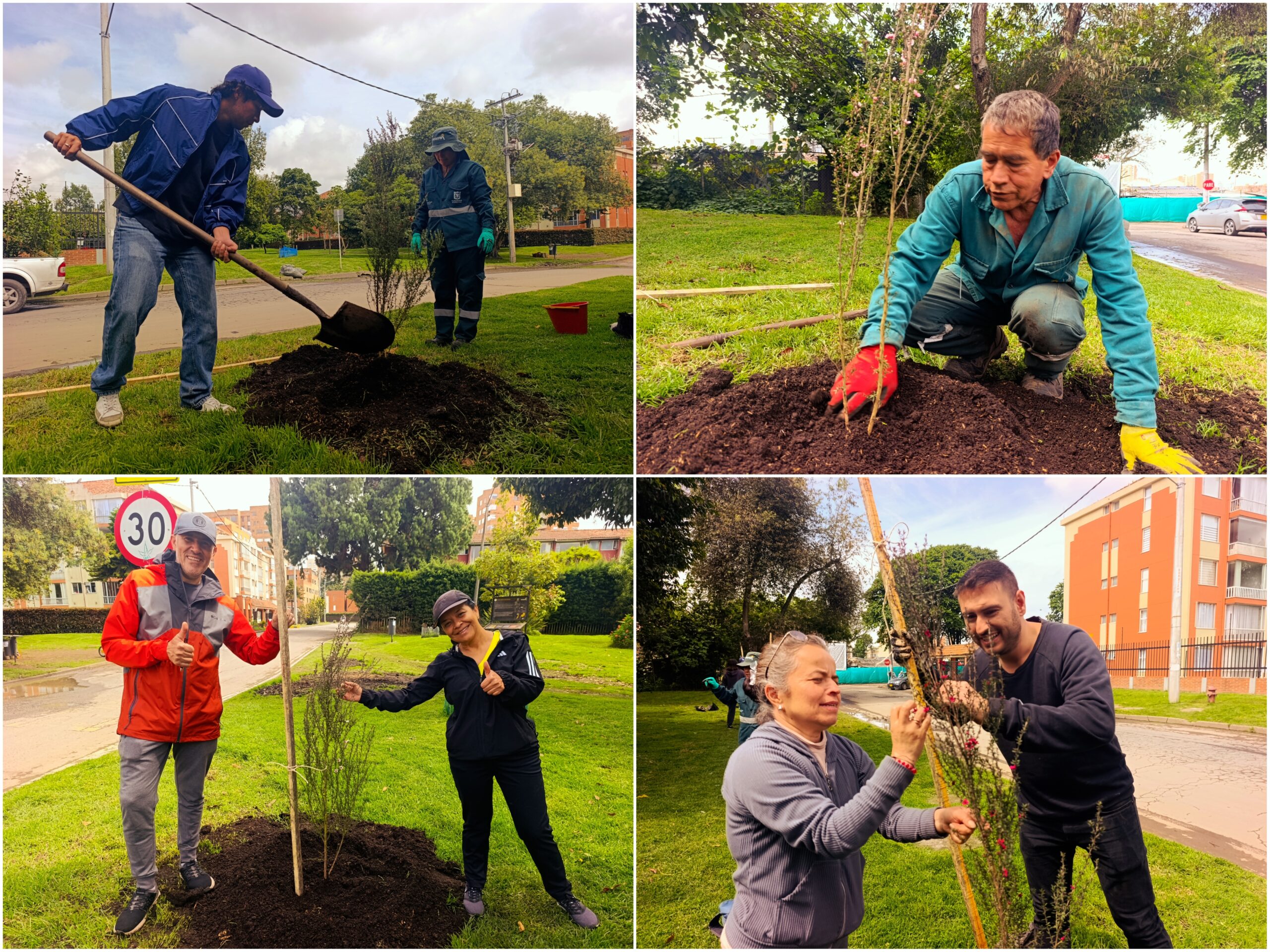 Historias del verde urbano: ¡Fiesta verde con los amigos del bosque Santa Helena!