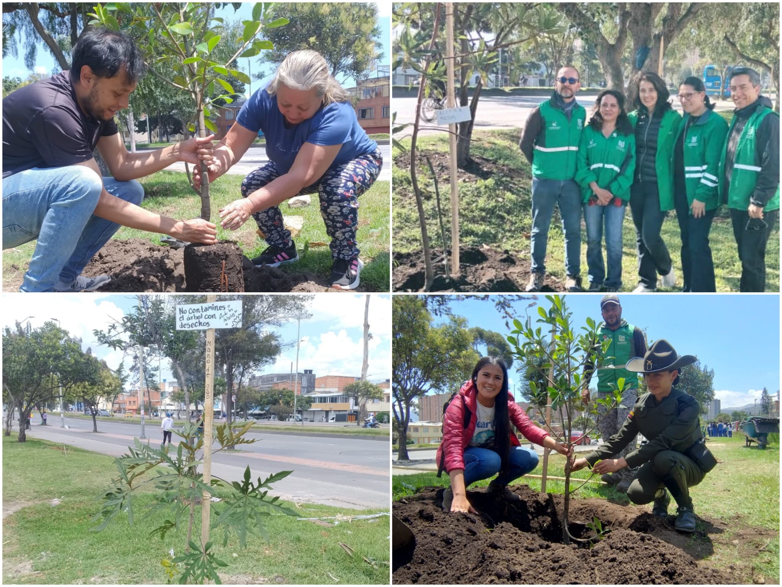 Historias del verde urbano: ¡83 nuevos pulmones verdes en el sur de Bogotá!
