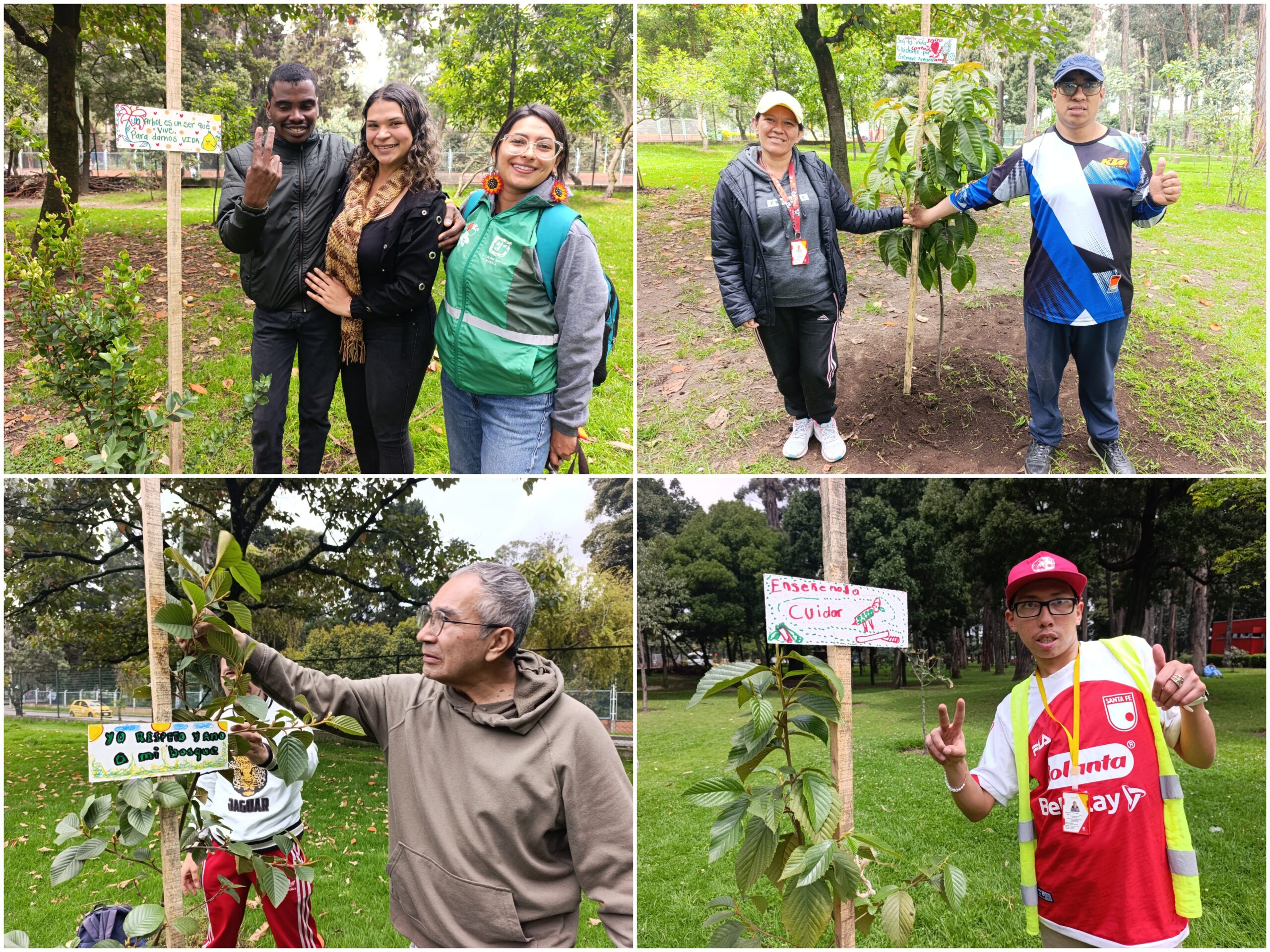 Historias del verde urbano: San Carlos: un bosque con cientos de ‘padrinos patojos’