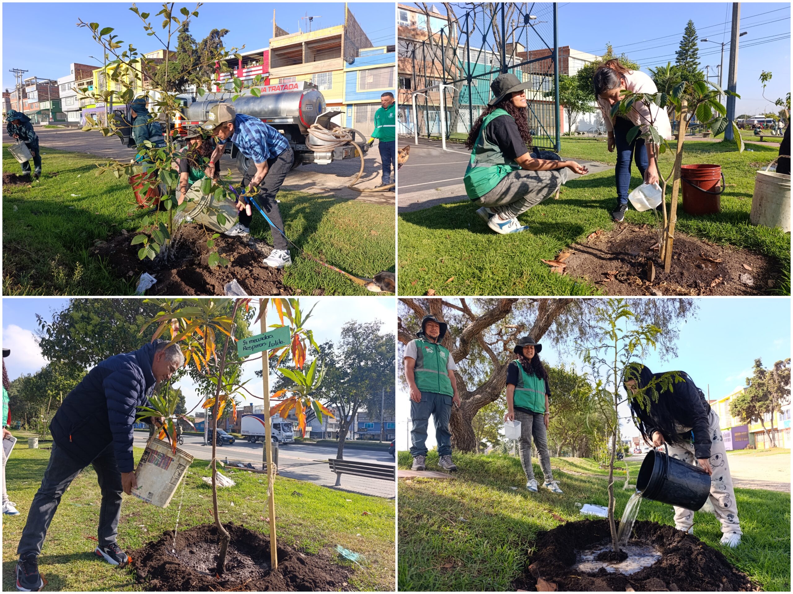 Historias del verde urbano: El despertar verde del Olarte