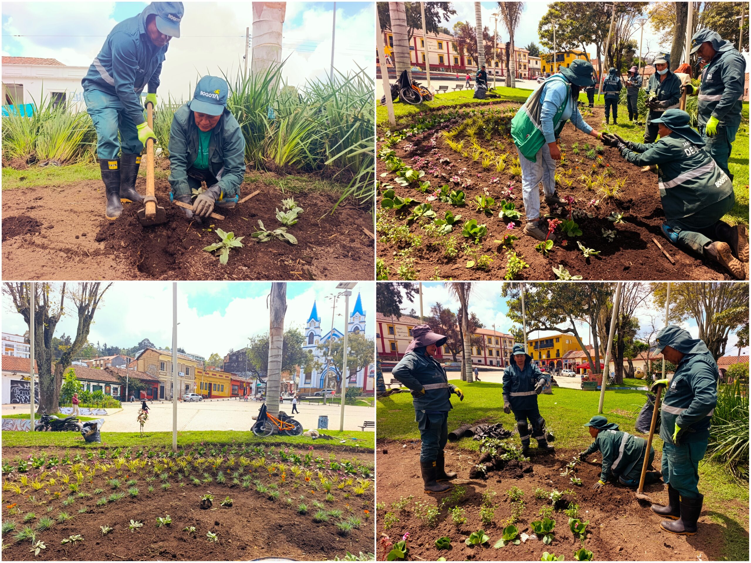 Historias del verde urbano: El arcoíris floral de la Plaza Fundacional de Suba
