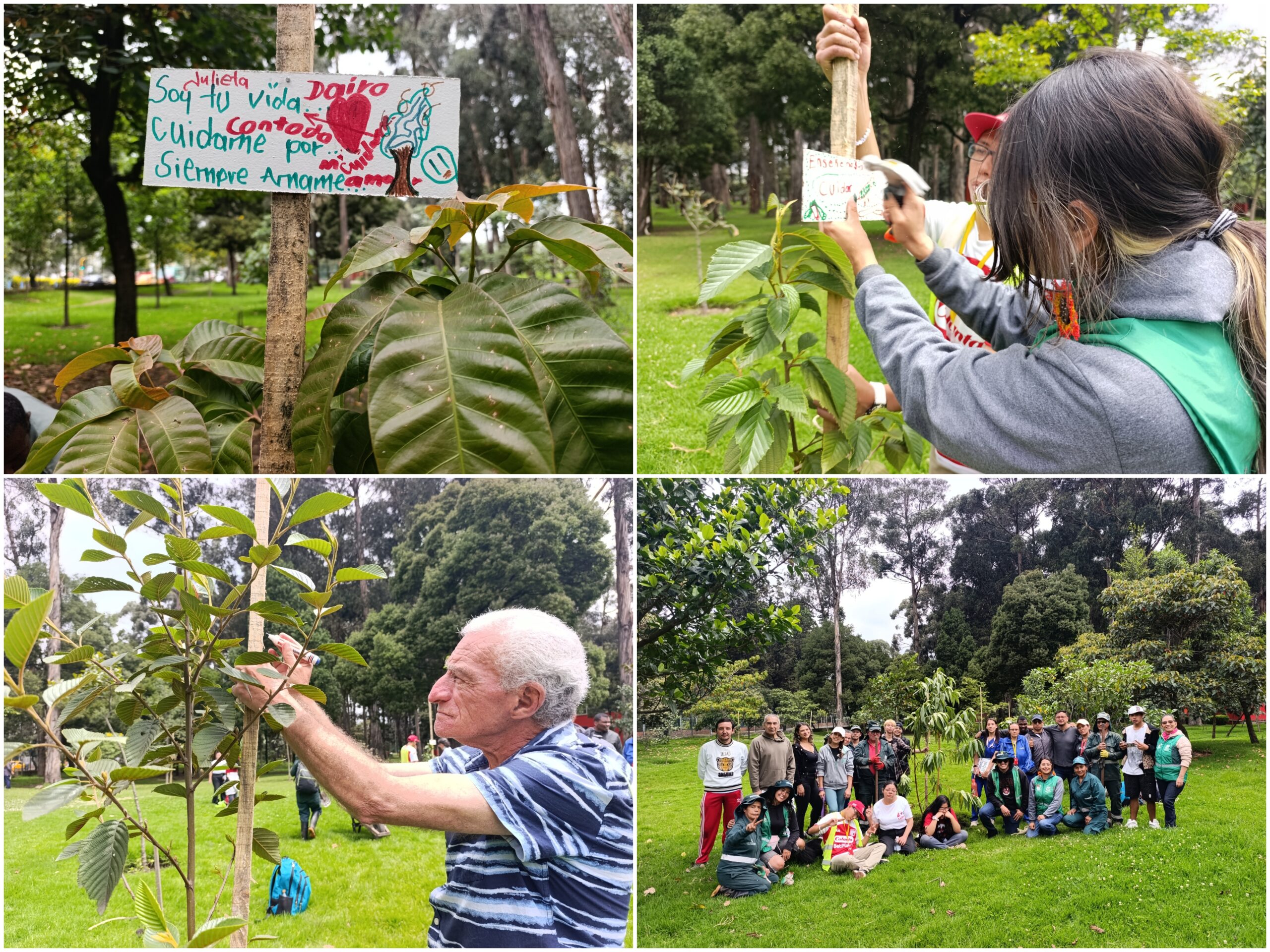 Historias del verde urbano: San Carlos: un bosque con cientos de ‘padrinos patojos’
