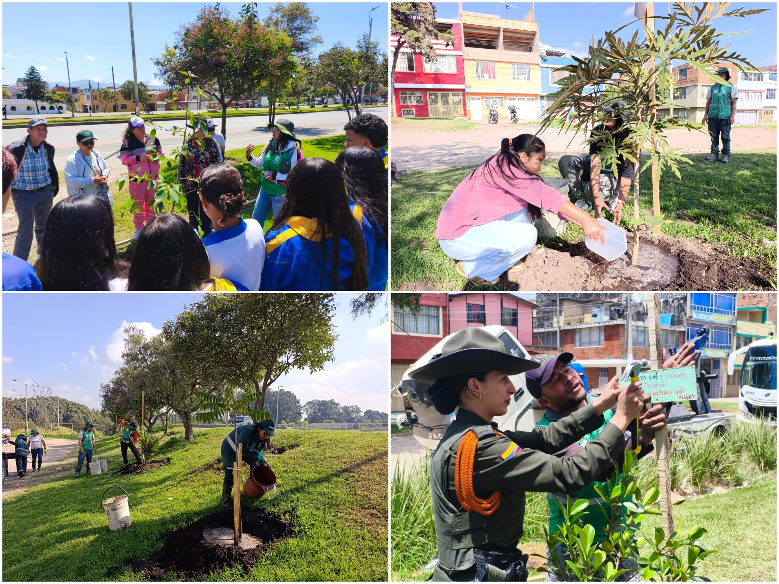 Historias del verde urbano: El despertar verde del Olarte